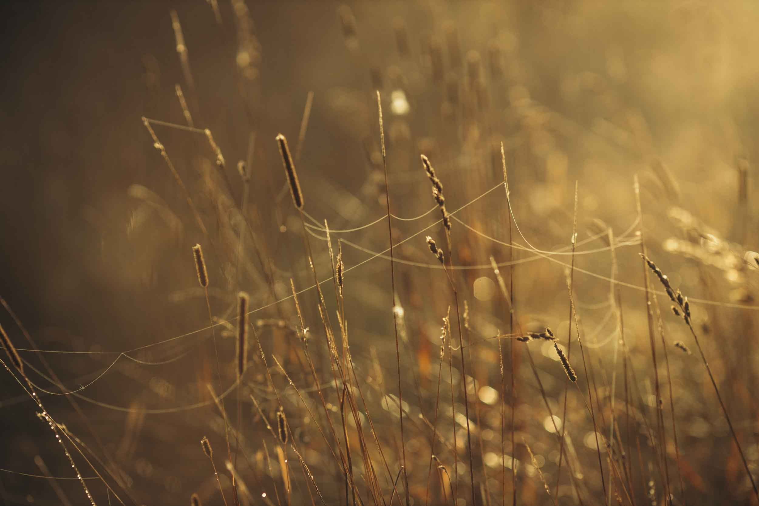 Природные пейзажи. Наталия Клевинскас портретный фотограф в Костроме