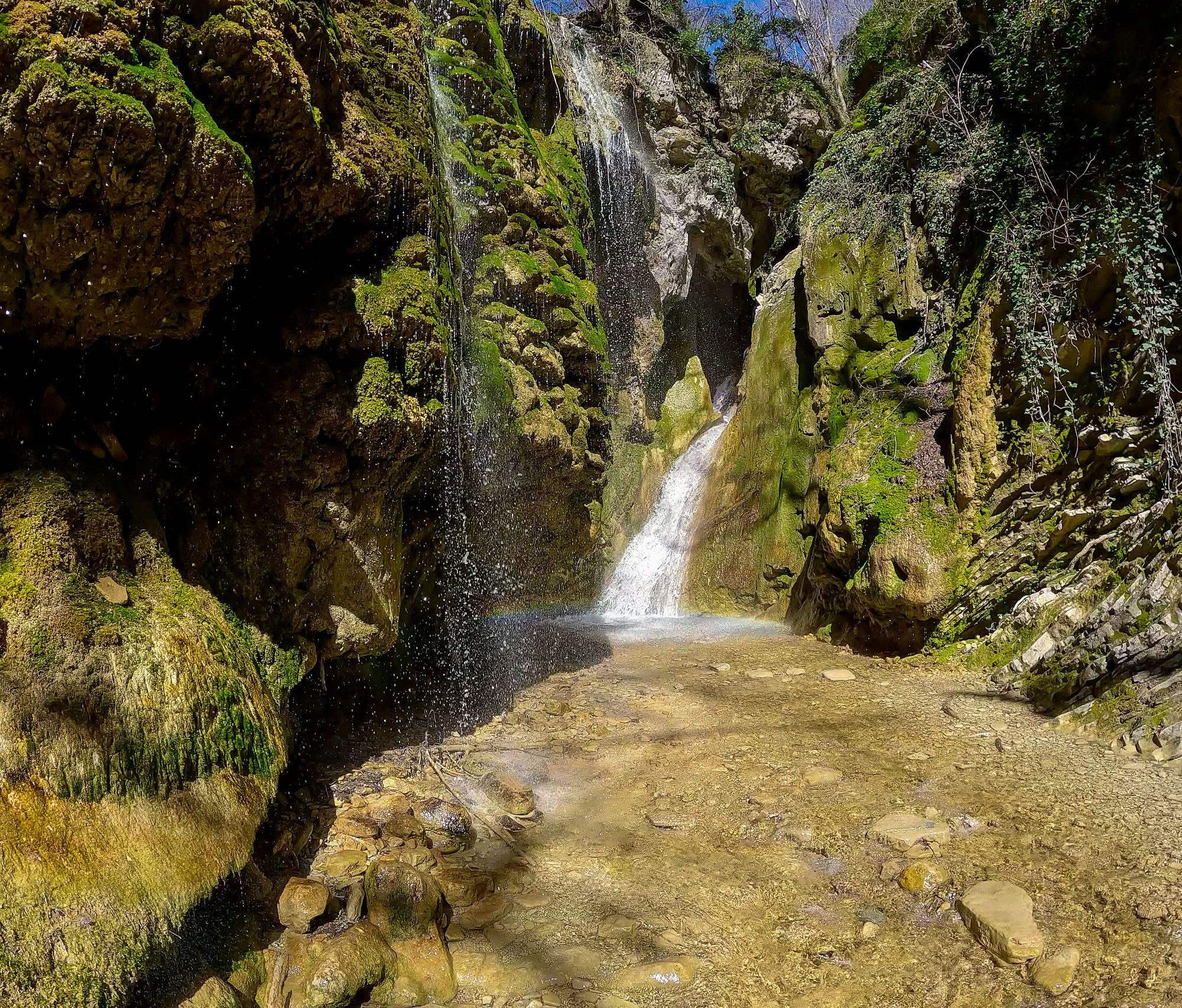 Свадебный фотограф в Геленджике