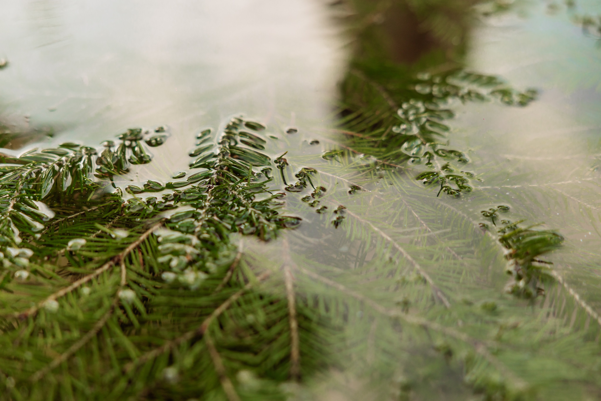 KUKSA|ТО, ЧТО ТЕБЯ СОГРЕВАЕТ|Кело-баня на дровах, г. Коломна. ФОТОГРАФ ИРИНА ШАМАТАВА