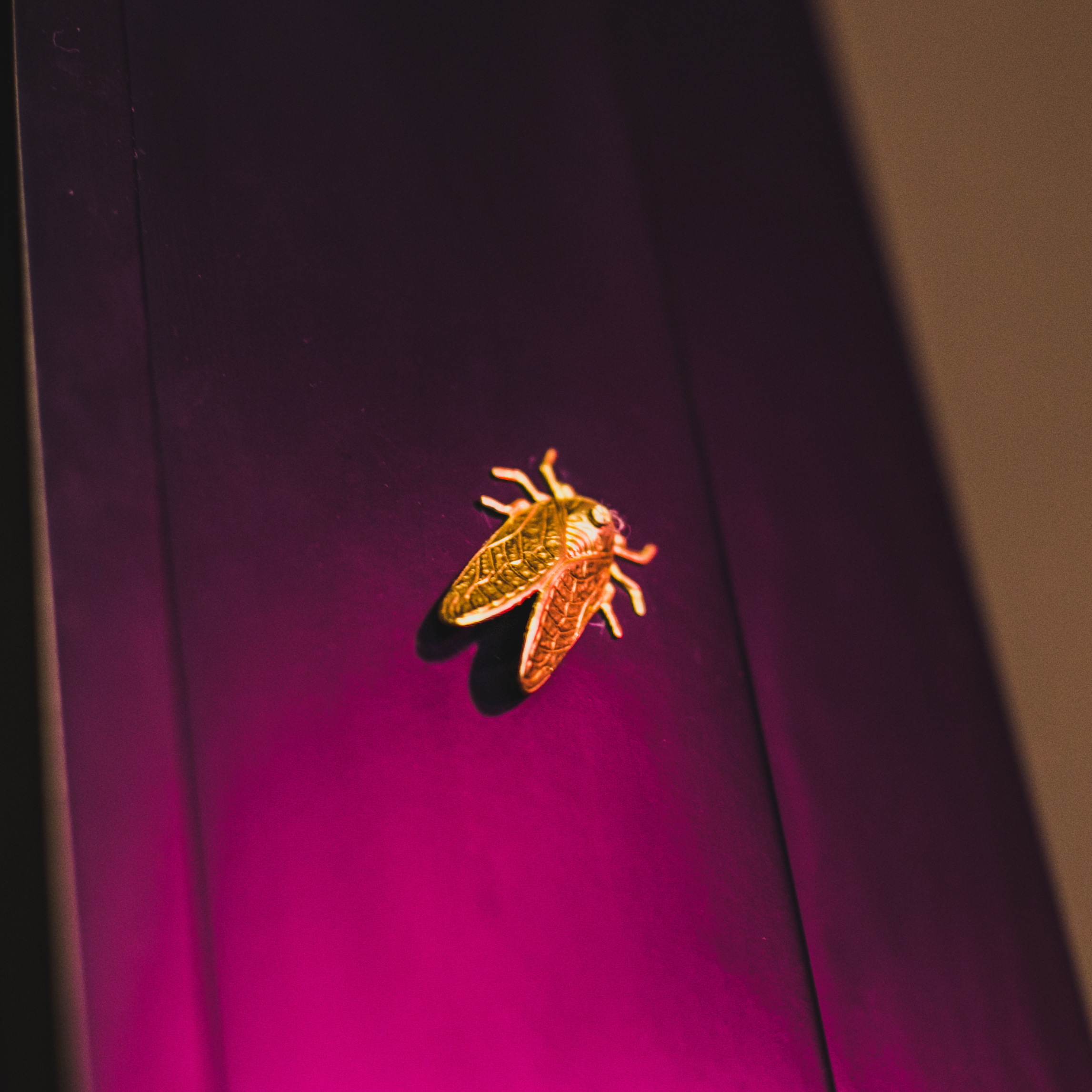 Палома. Антон Климов, документальный фотограф, Иркутск