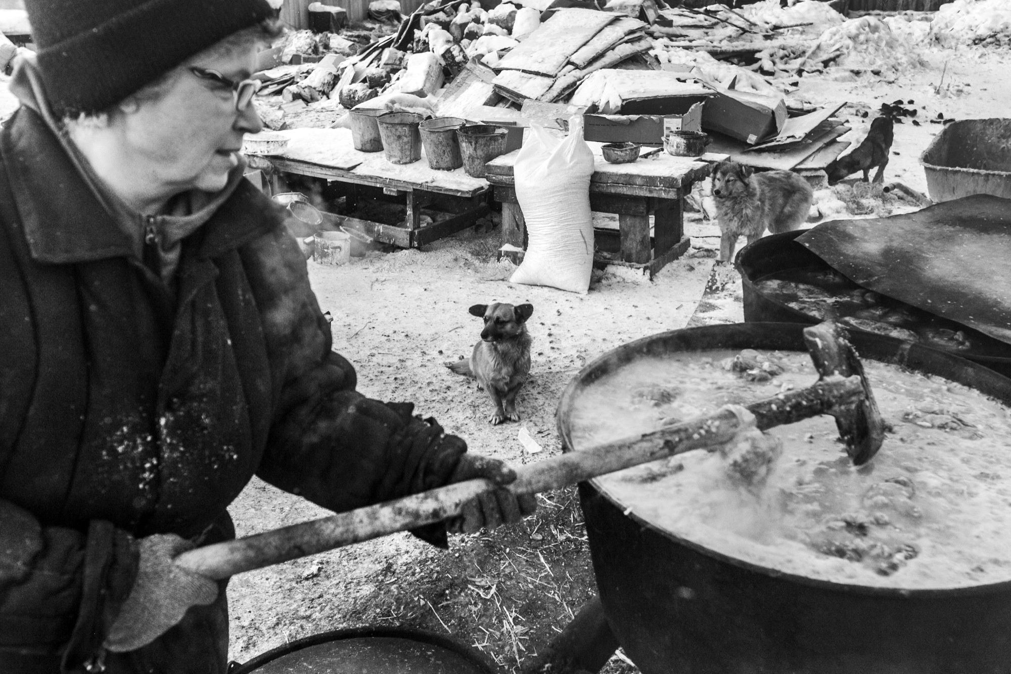 Собаки на сене. Антон Климов, документальный фотограф, Иркутск