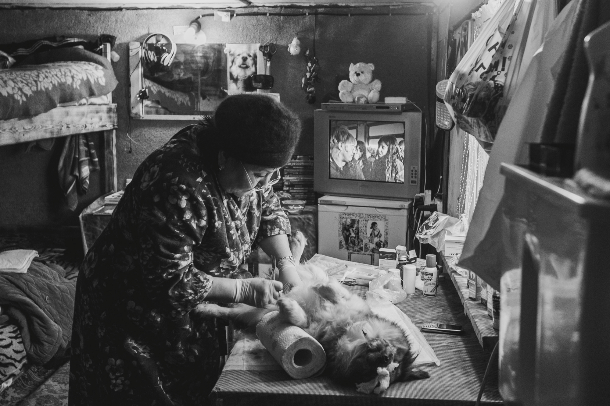 Собаки на сене. Антон Климов, документальный фотограф, Иркутск