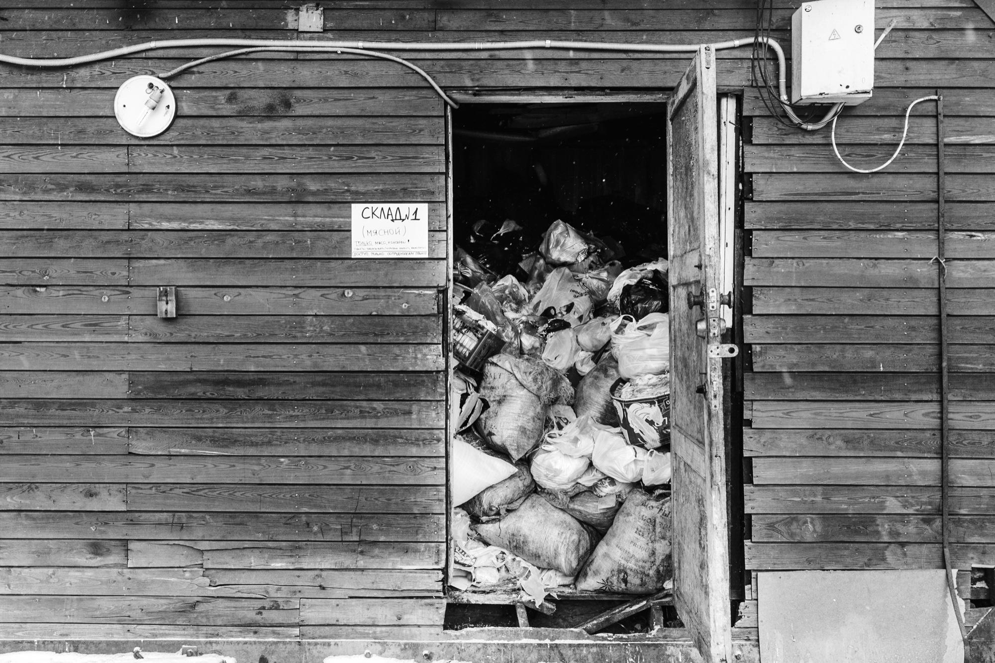 Собаки на сене. Антон Климов, документальный фотограф, Иркутск