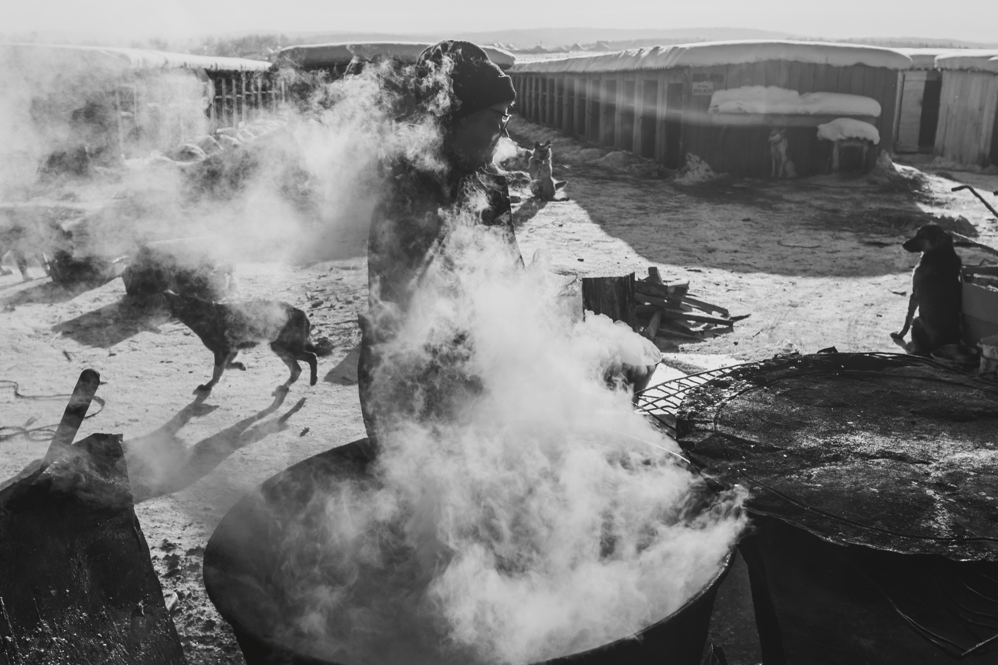 Собаки на сене. Антон Климов, документальный фотограф, Иркутск