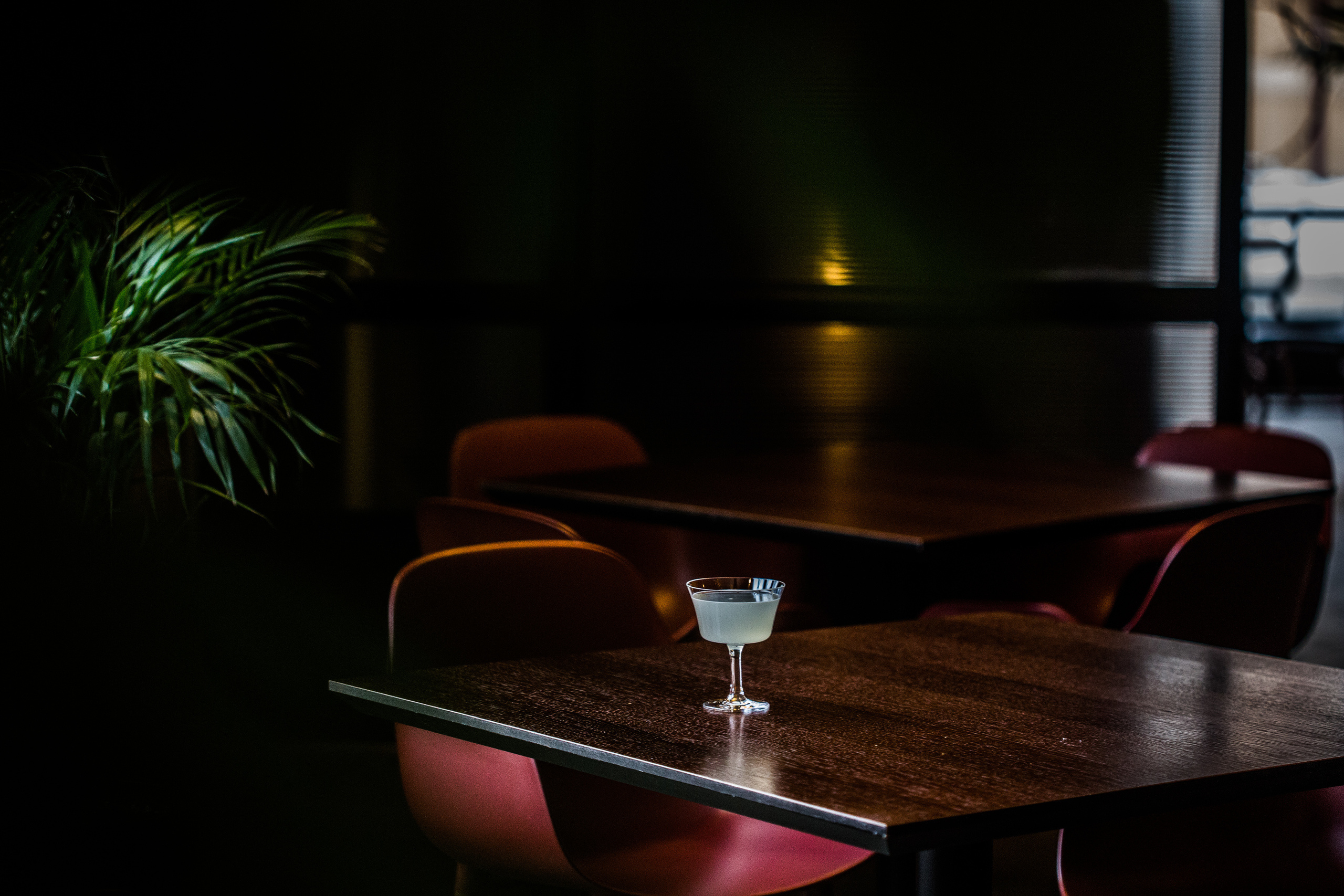 Палома. Антон Климов, документальный фотограф, Иркутск