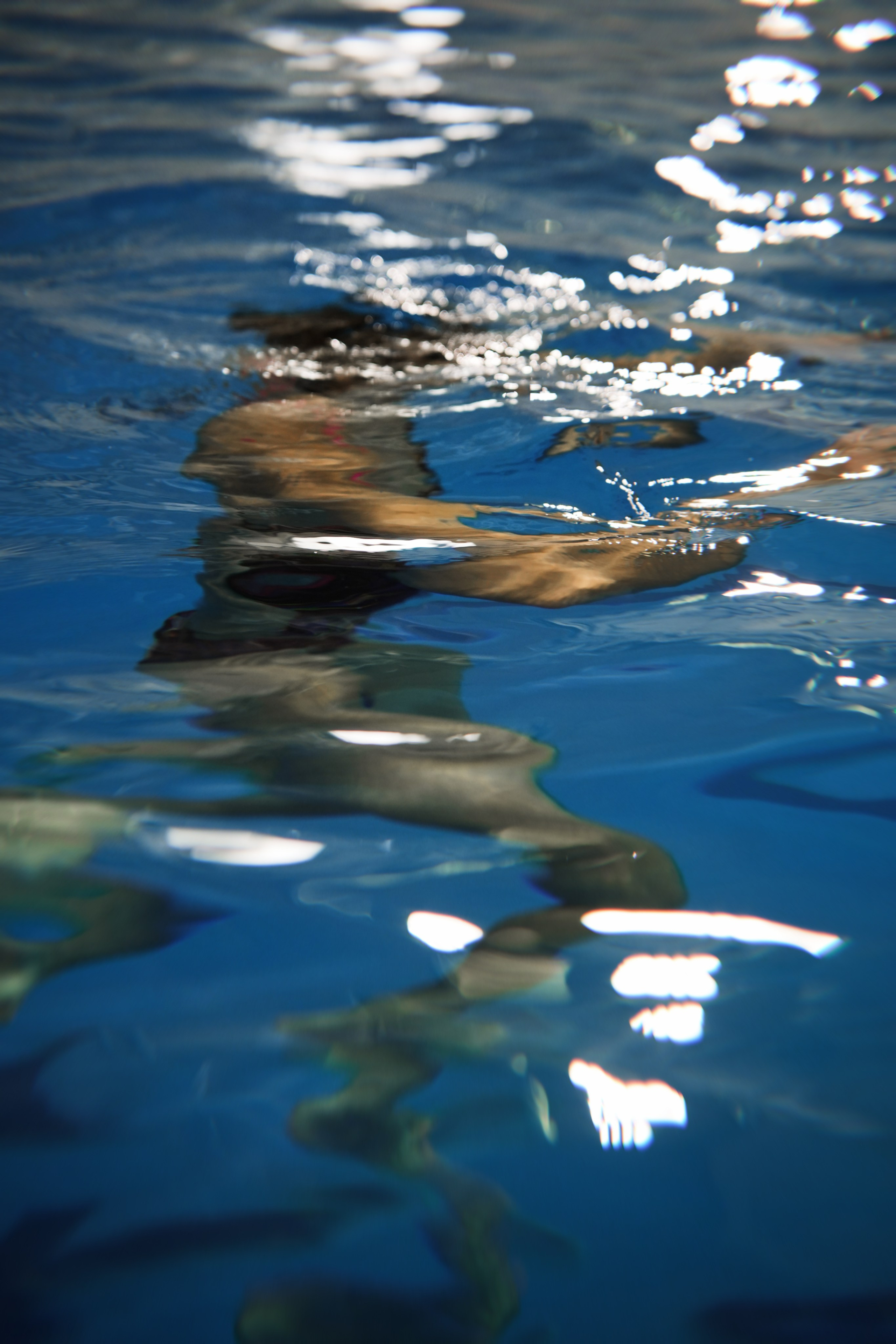 Sport-Art. Анна Жукова — Режиссёр кино и цирка, сценарист, фотограф