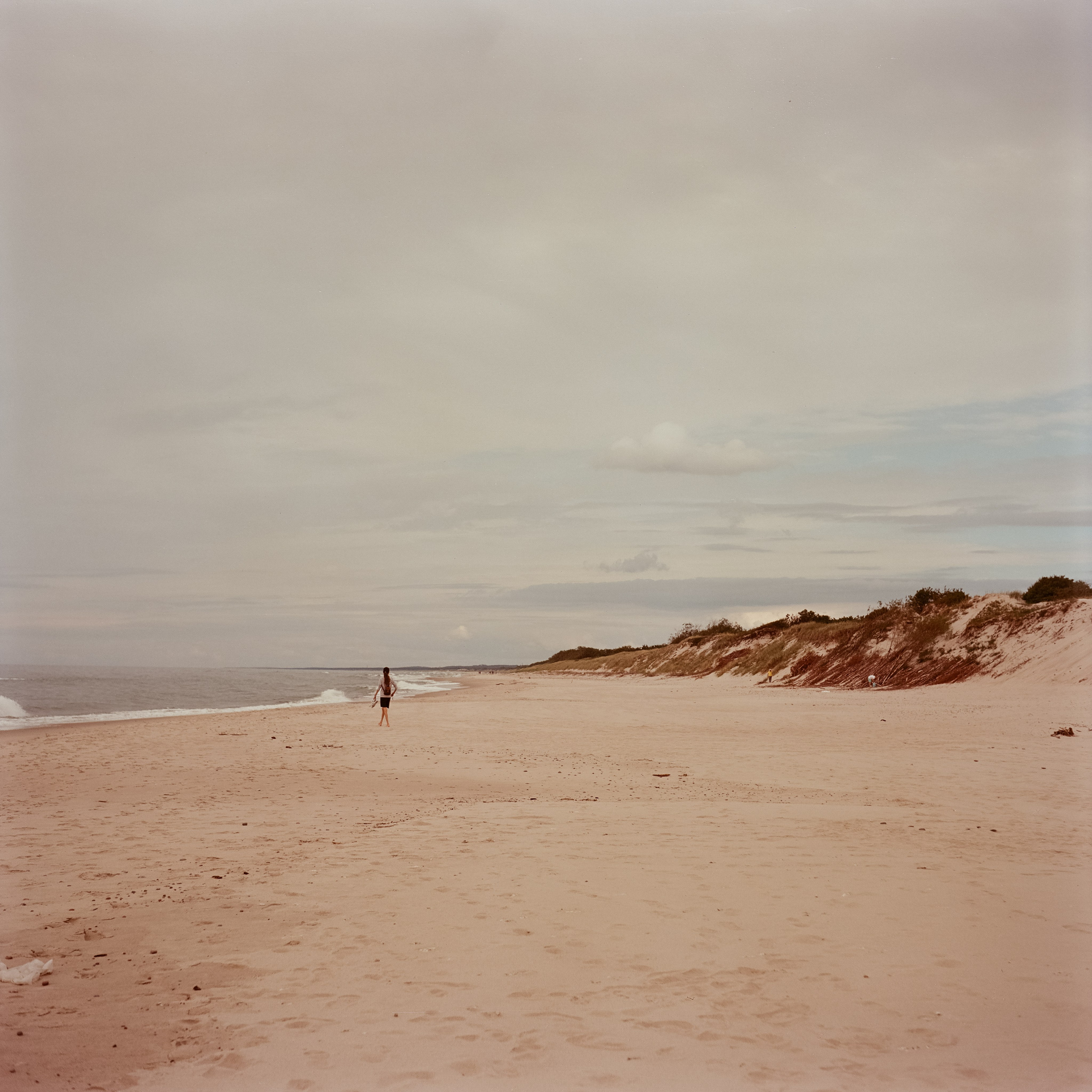 Куршская коса / Super Fujica-6 / Kodak Aeronega 100 (Kodak Aerocolor IV)