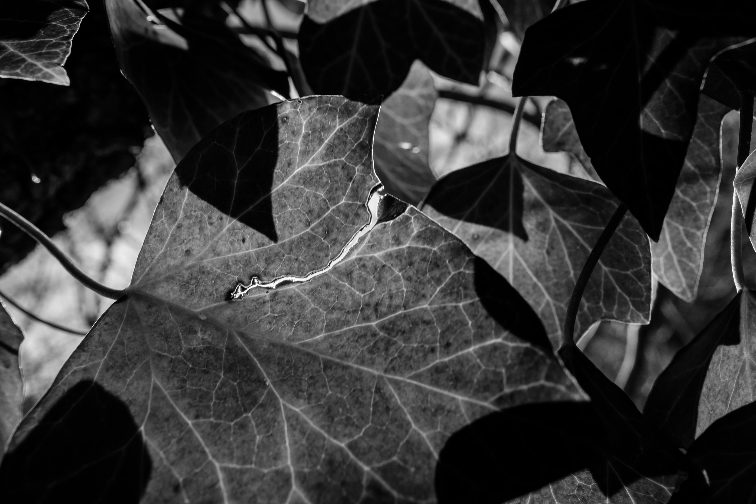 Как Леся и Алена по хребту Бакса выгуливали. Семейный фотограф в Анапе Валерий Скурыдин
