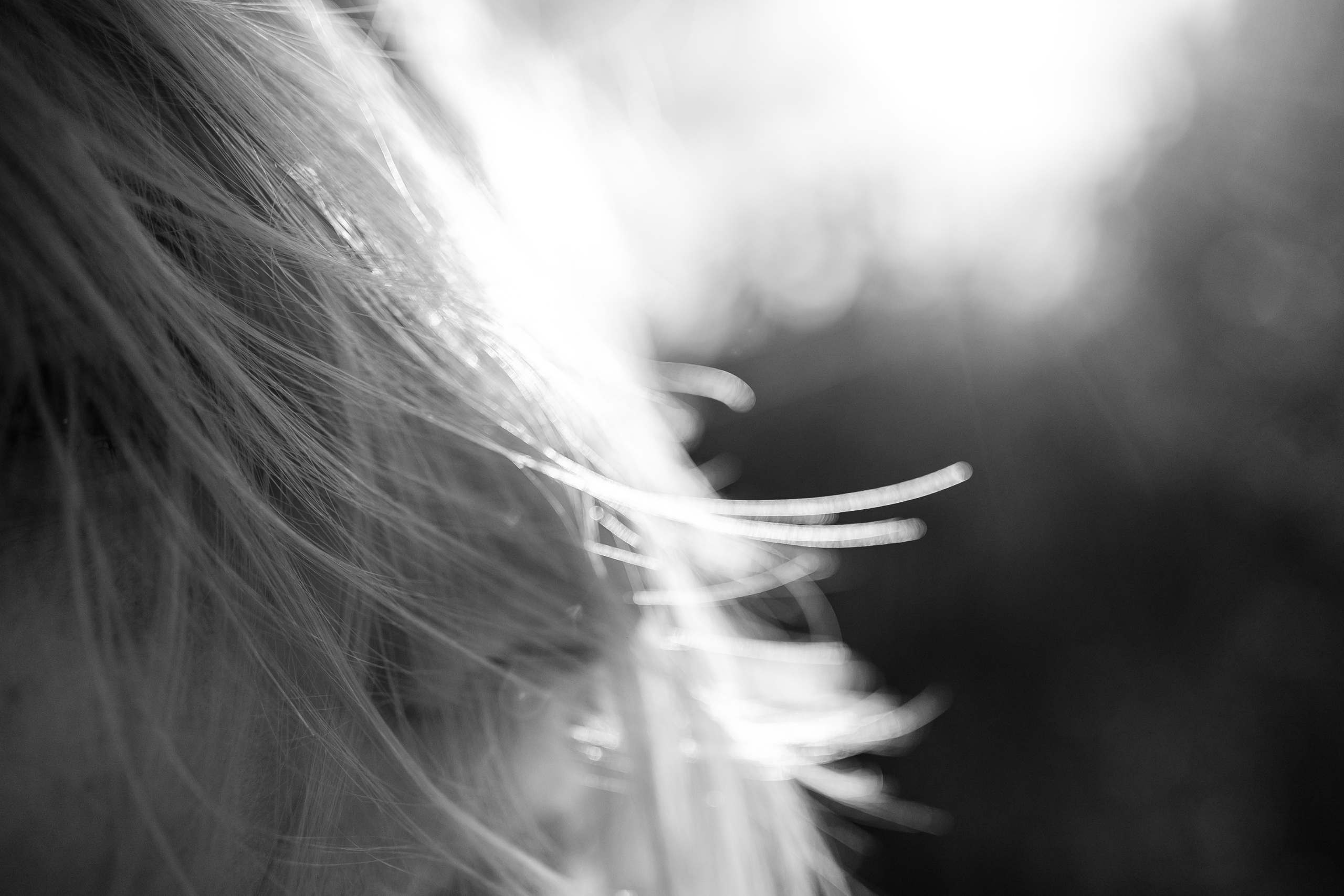 Как Леся и Алена по хребту Бакса выгуливали. Семейный фотограф в Анапе Валерий Скурыдин