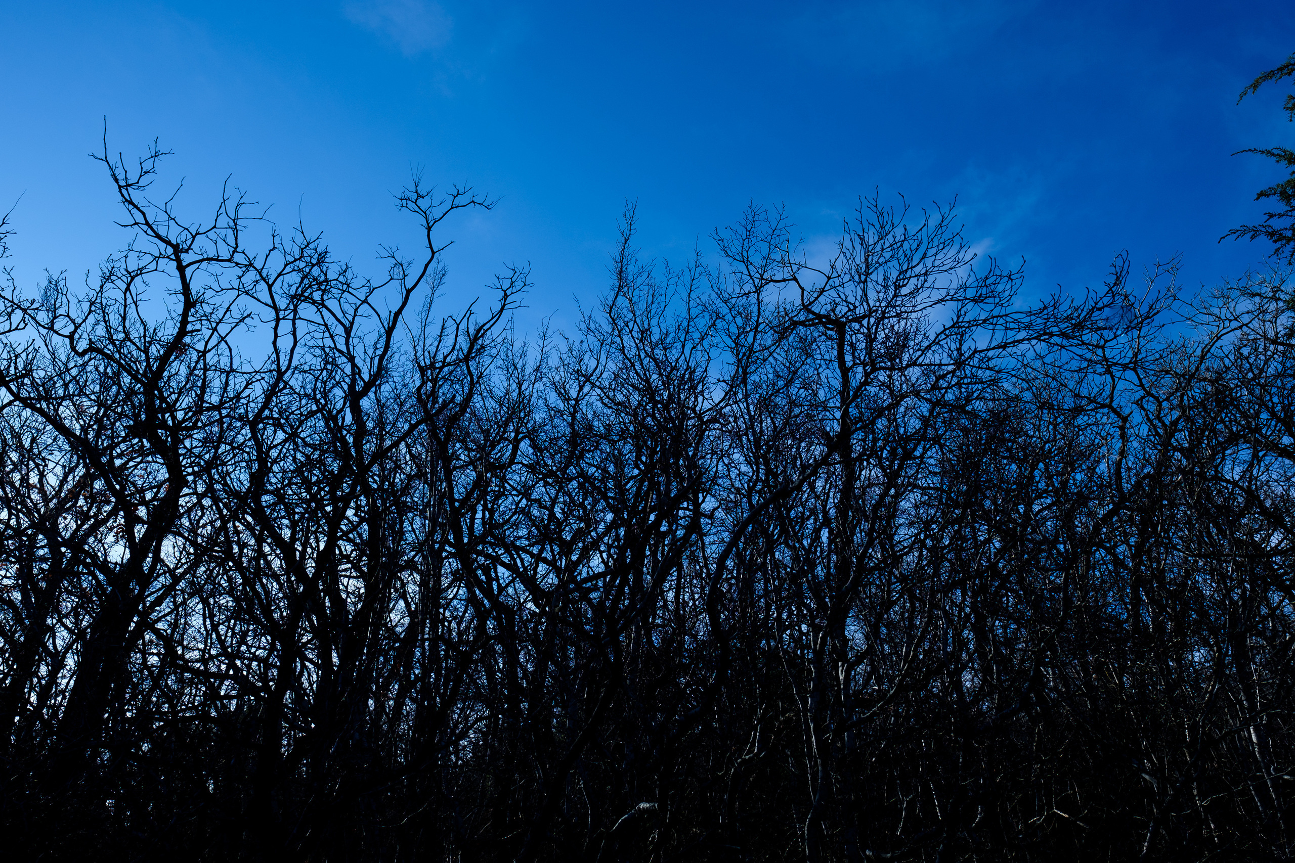 Как Леся и Алена по хребту Бакса выгуливали. Семейный фотограф в Анапе Валерий Скурыдин