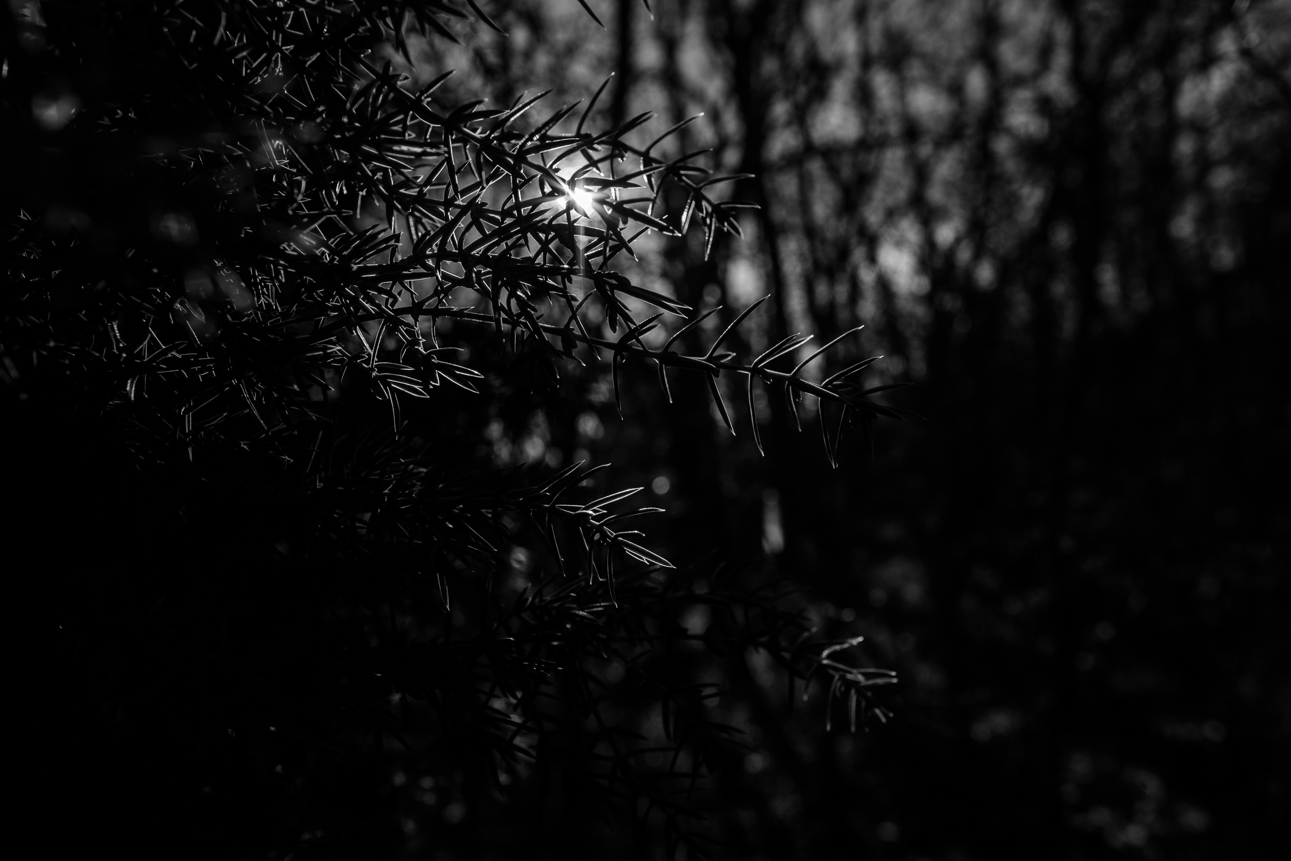 Как Леся и Алена по хребту Бакса выгуливали. Семейный фотограф в Анапе Валерий Скурыдин