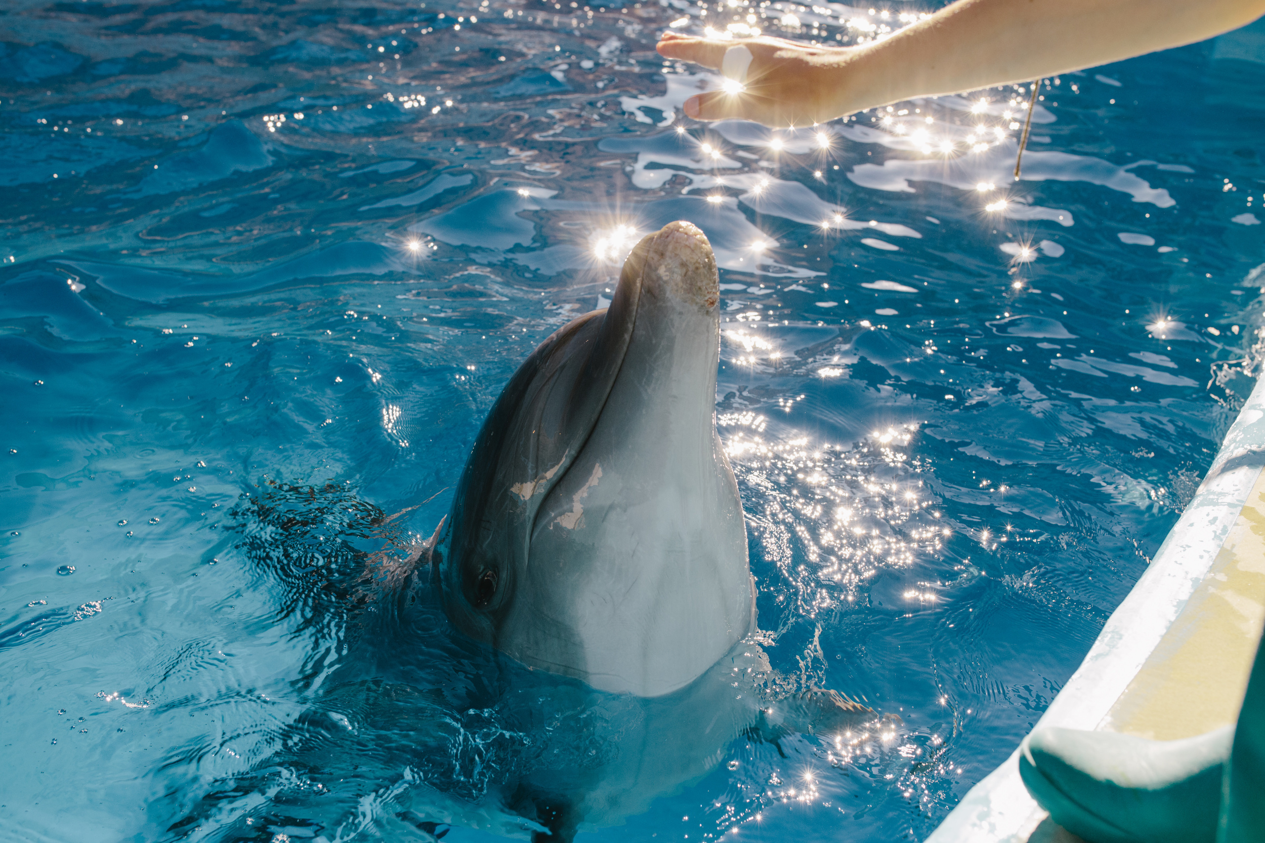 Портреты. Семейный фотограф в Анапе Валерий Скурыдин