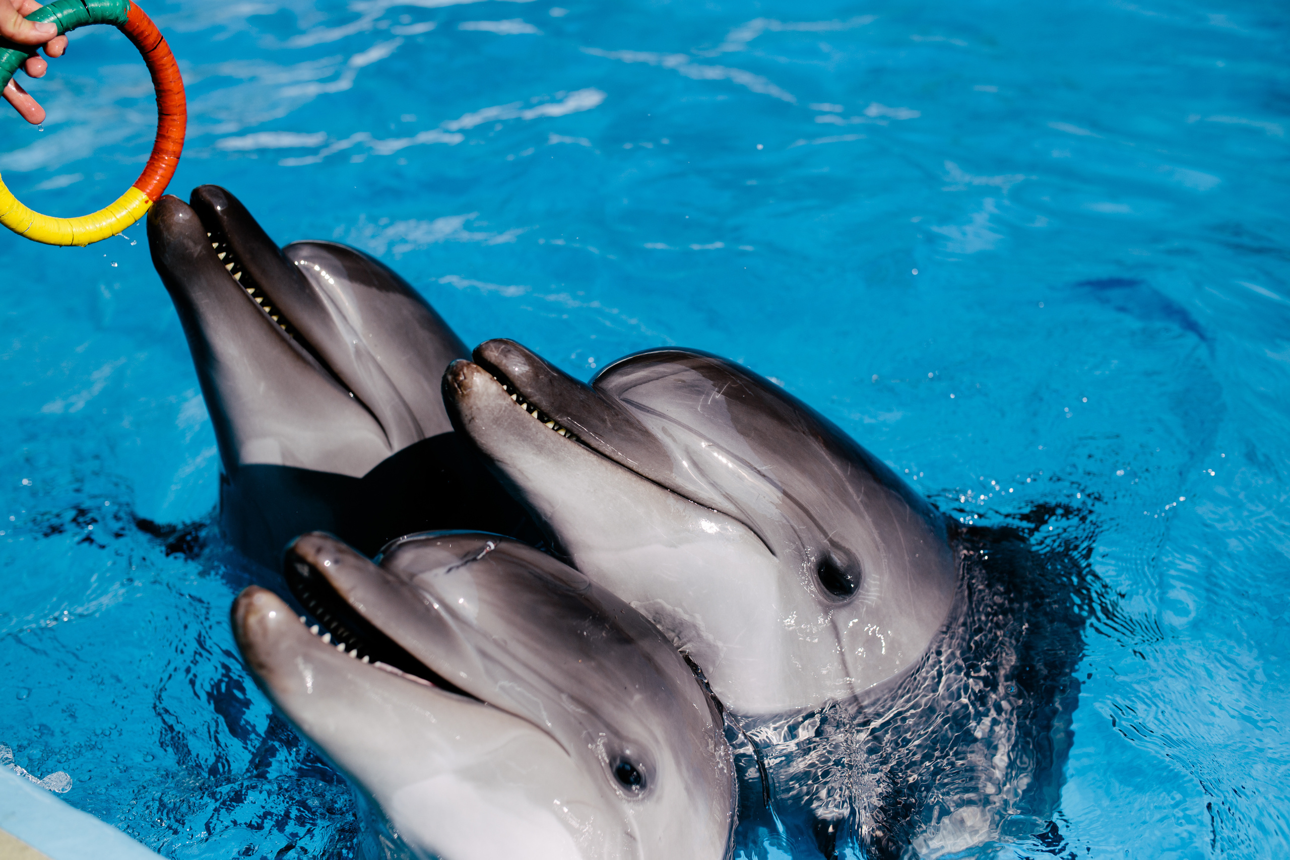 Портреты. Семейный фотограф в Анапе Валерий Скурыдин
