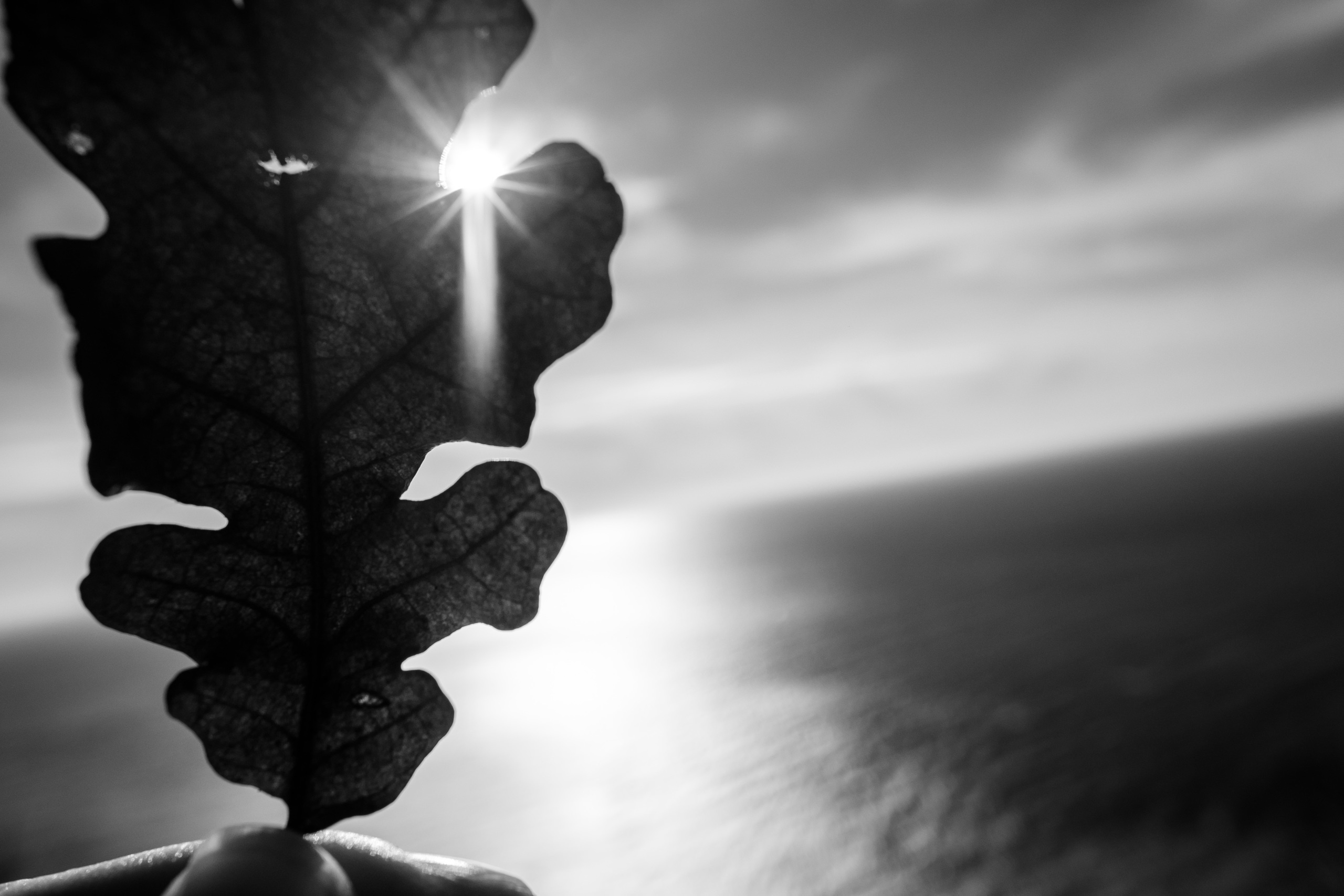 Как Леся и Алена по хребту Бакса выгуливали. Семейный фотограф в Анапе Валерий Скурыдин