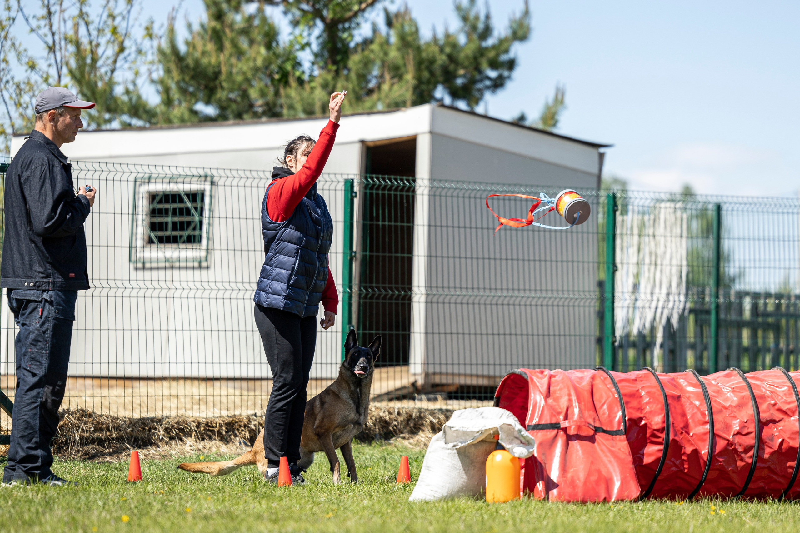Испытания по мондьорингу в Нижнем Новгороде. Фотограф-анималист Анна Маринич