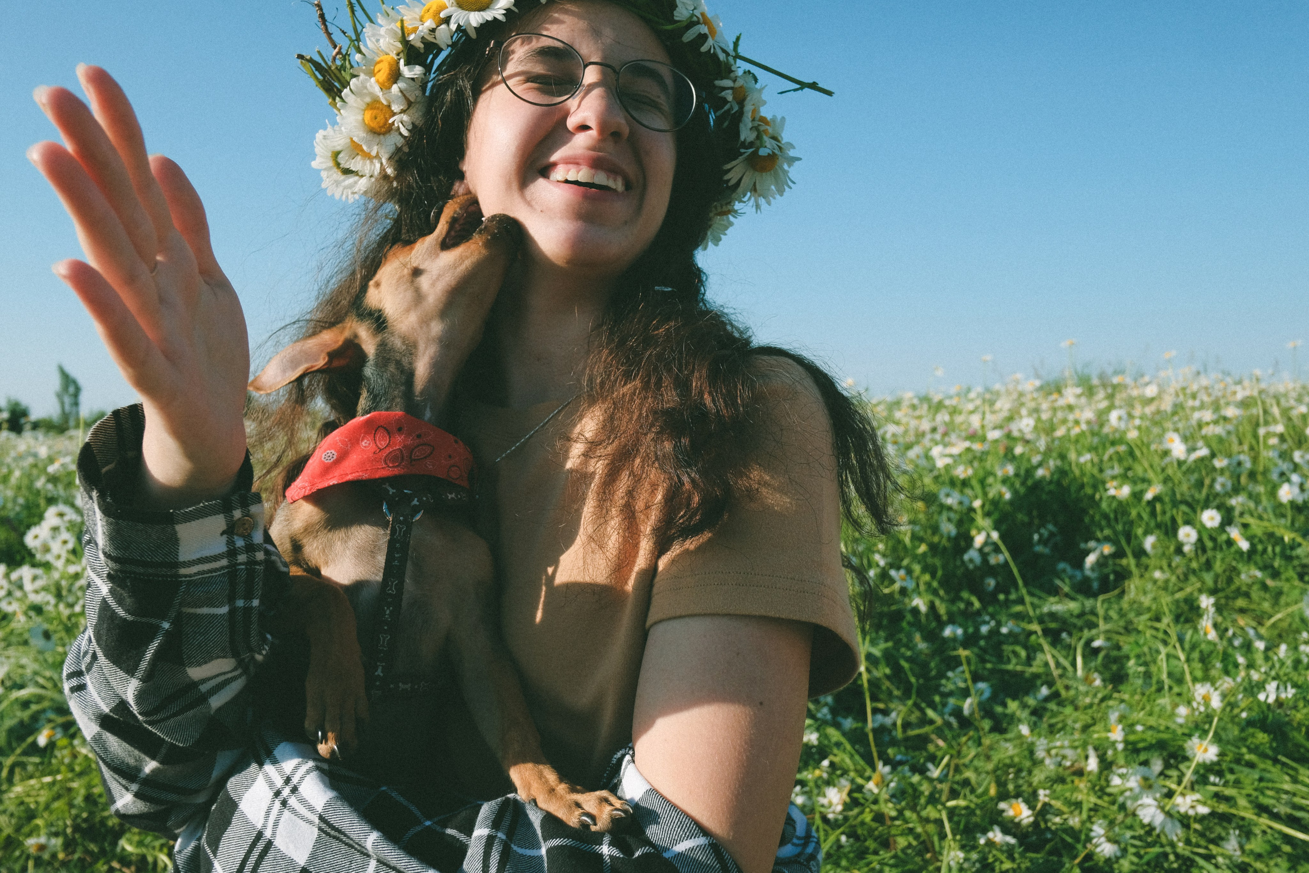 Ждановы в ромашках. Женский и семейный фотограф в Краснодаре и крае Таня Мустафина