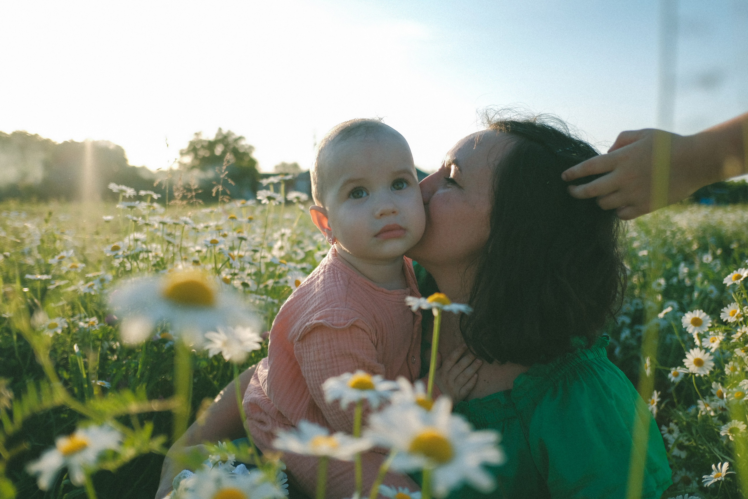 Ждановы в ромашках. Женский и семейный фотограф в Краснодаре и крае Таня Мустафина