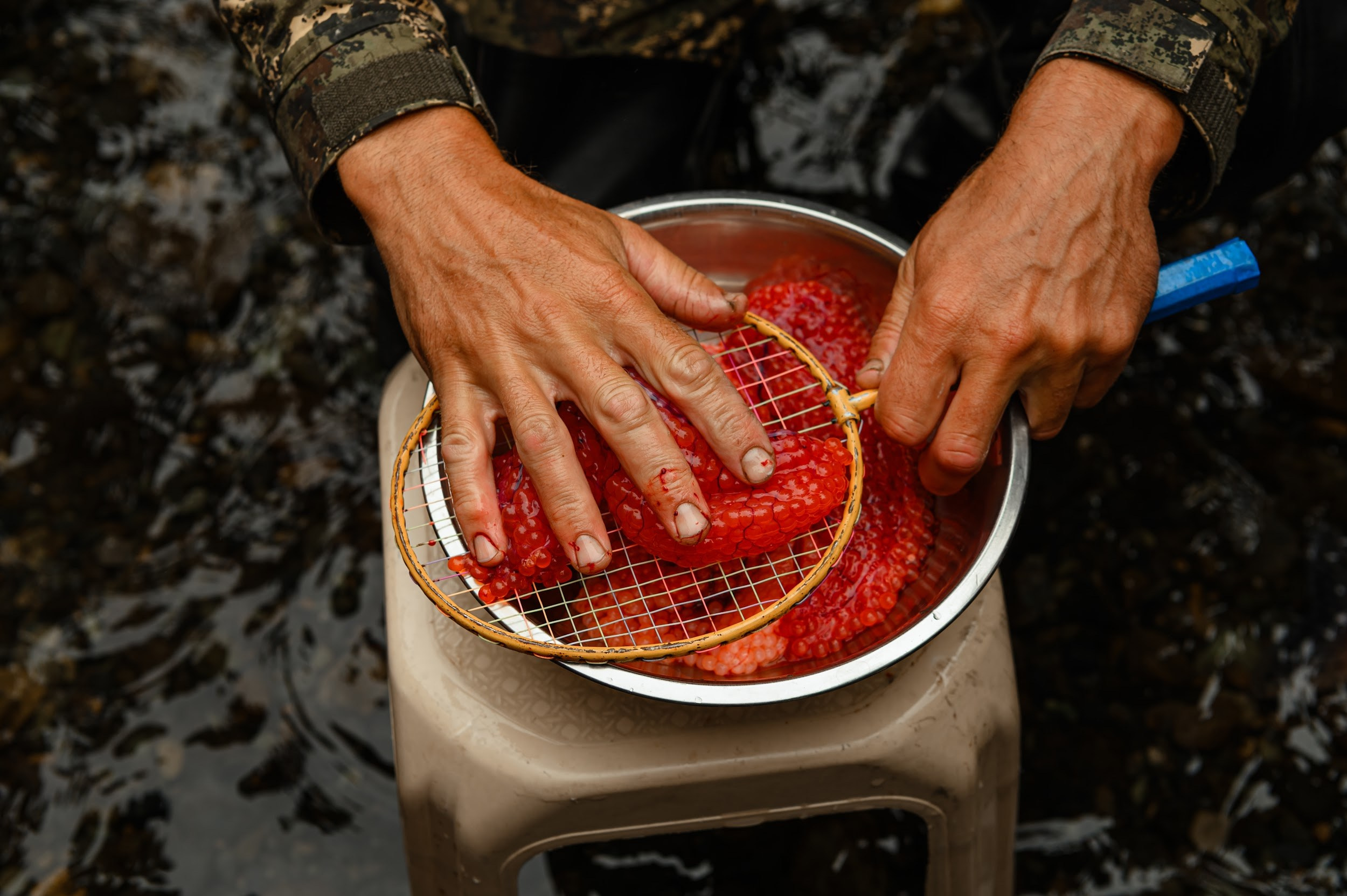 Камчатка 08.2024. Фотограф Марина Росси