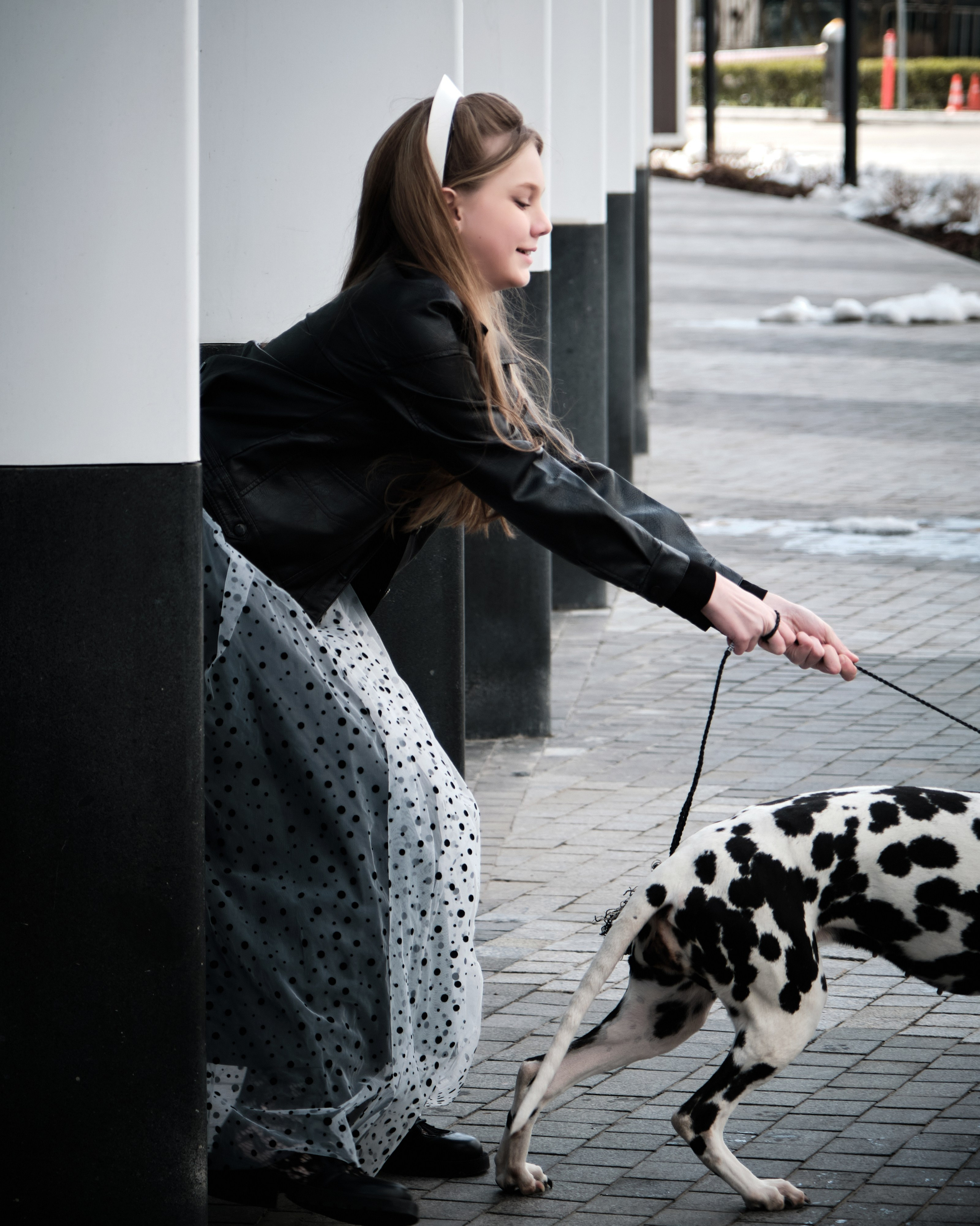 необычные фотосессии с далматинцами в Москве фотограф Виктория Колышева