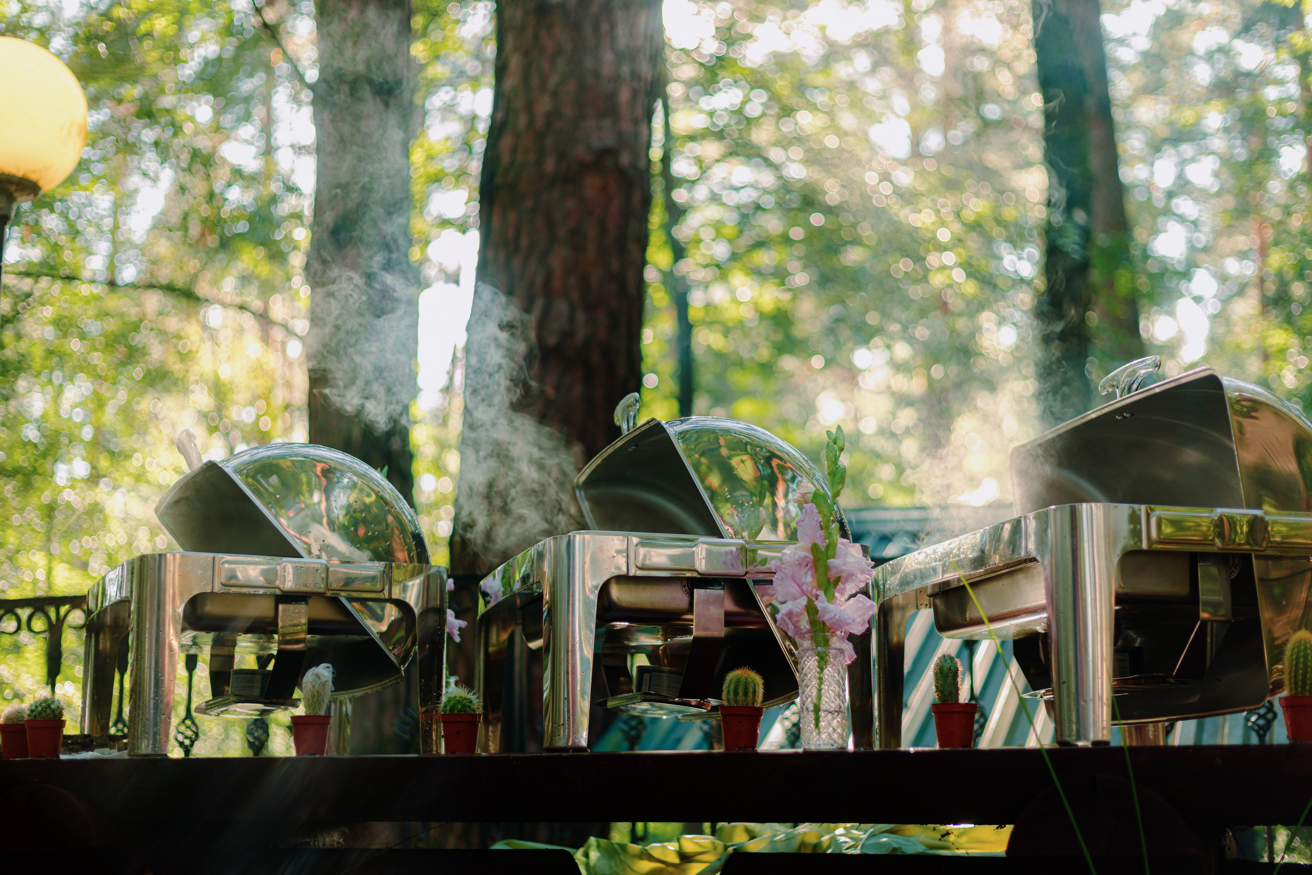 МНЕ В САПОГ ЗАПОЛЗЛА ЗМЕЯ!