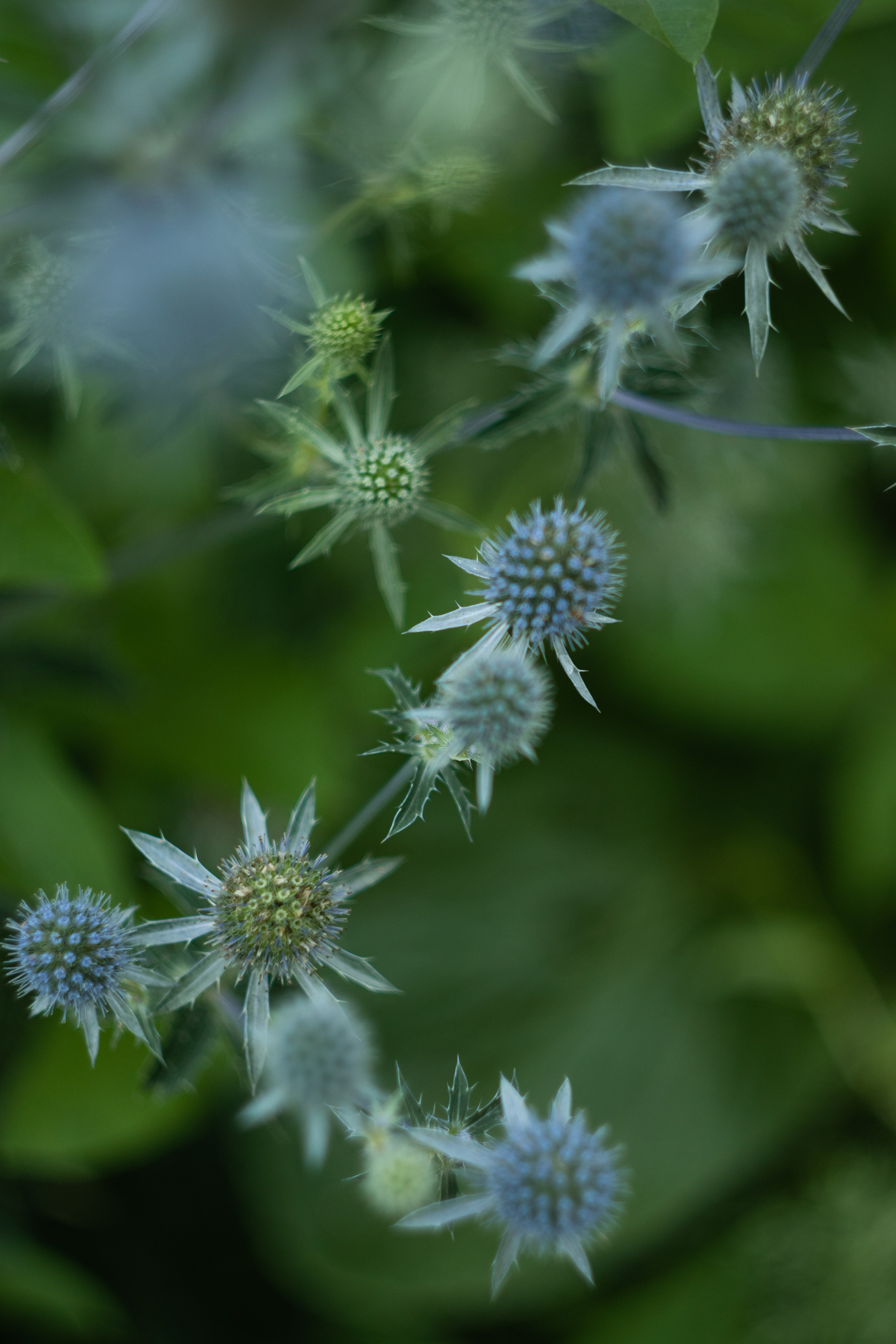 Моменты. Главная