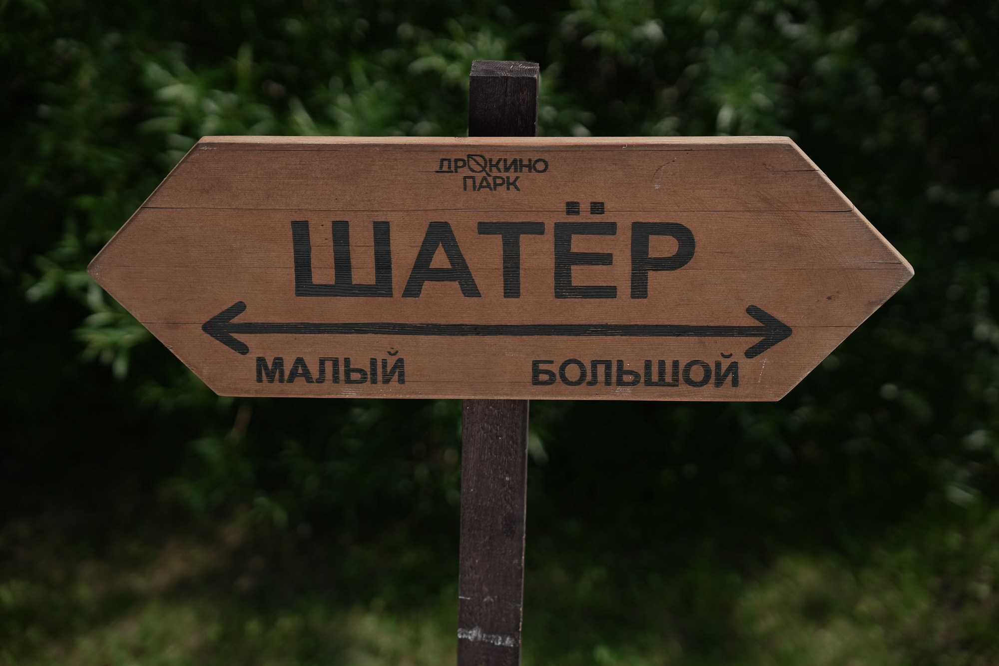 Катя и Егор. Фотограф в Красноярске. Юлия Чаушанская