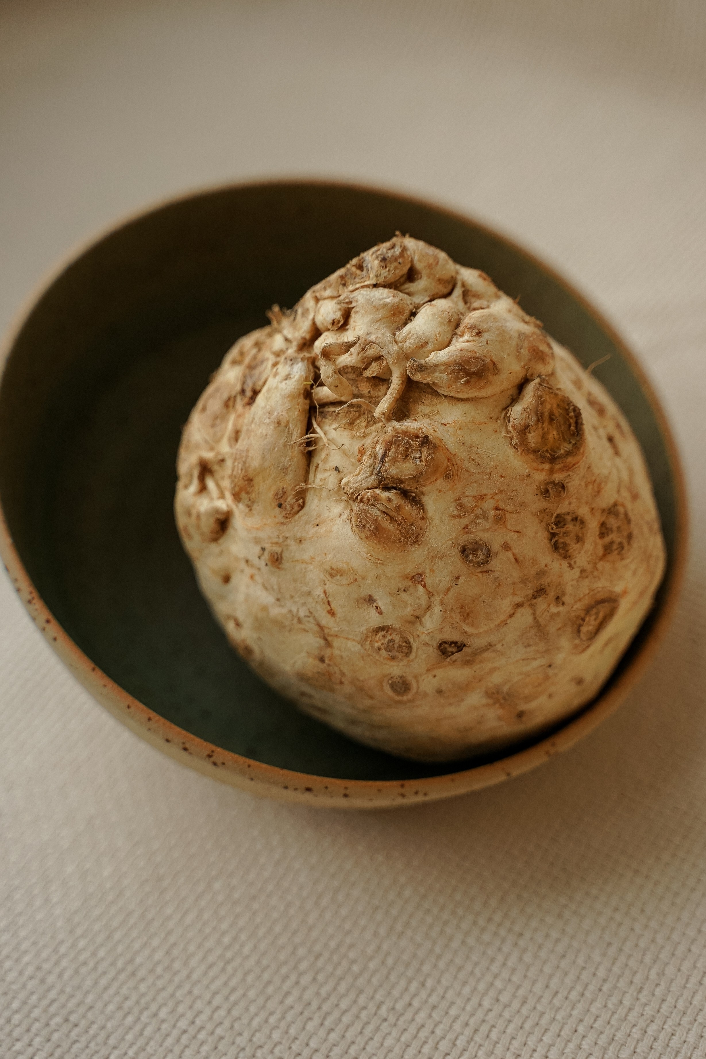 Tacobar. Nadezhda Migunova, Photographer