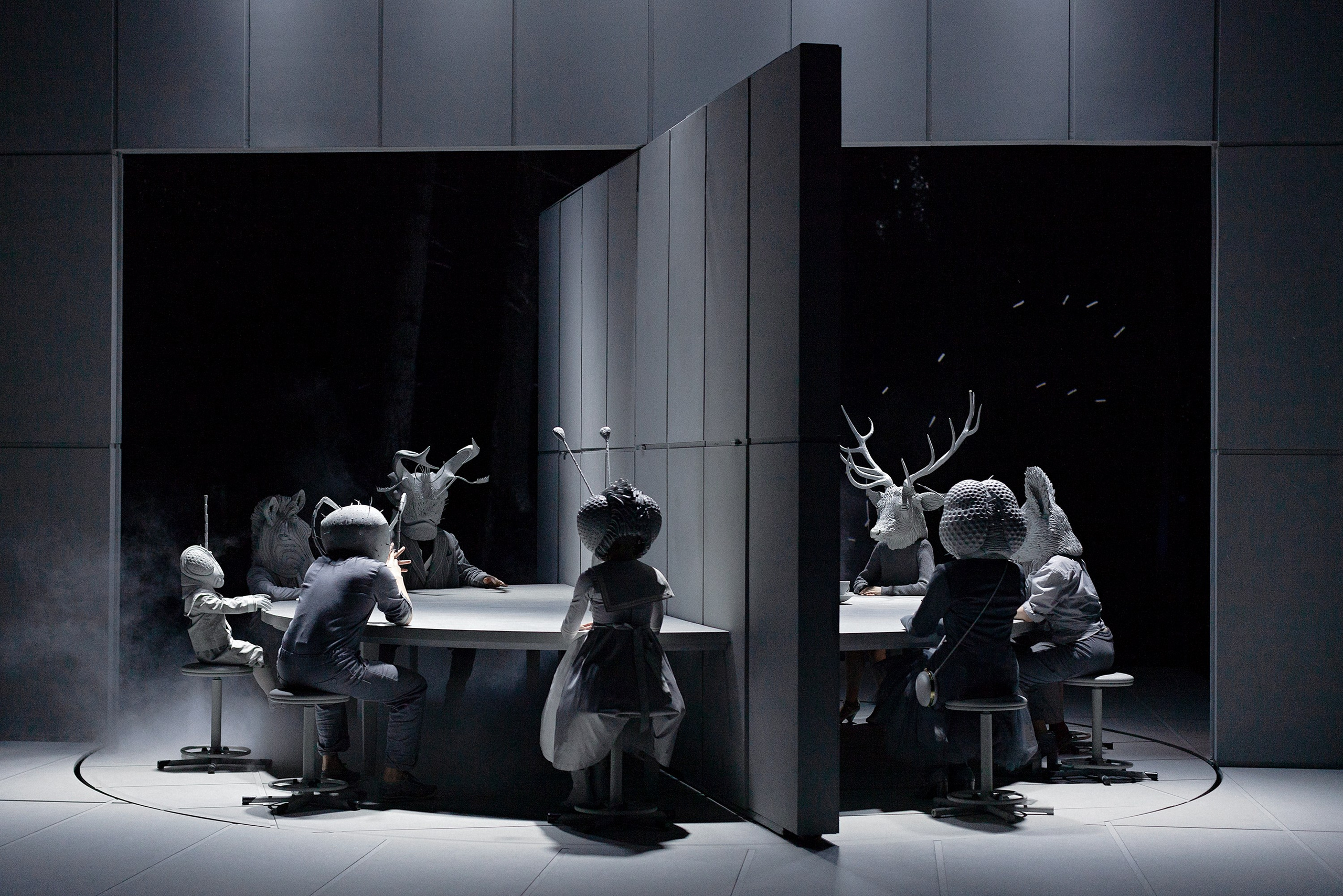 «СВЕРЧОК». Фотограф Александра Дмитриевская