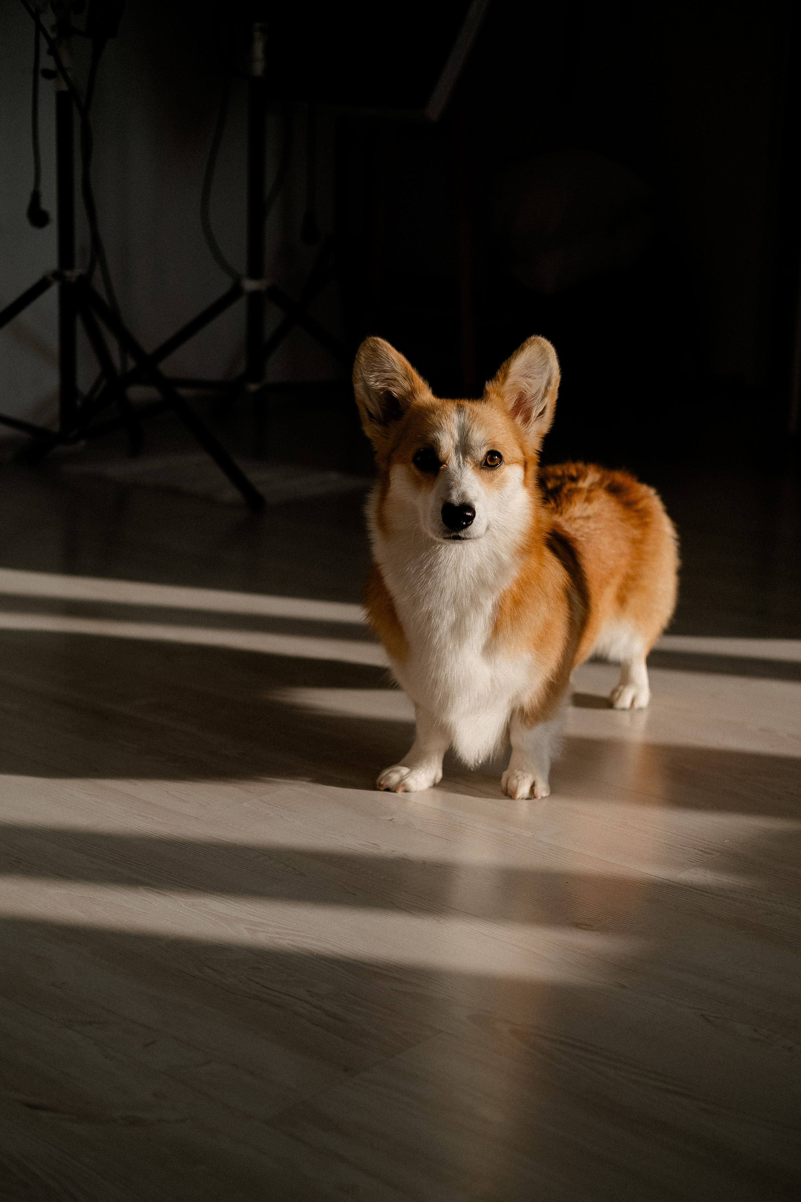 Радик. Свадебный и семейный фотограф в Казани и Зеленодольске Ланочкин Илья