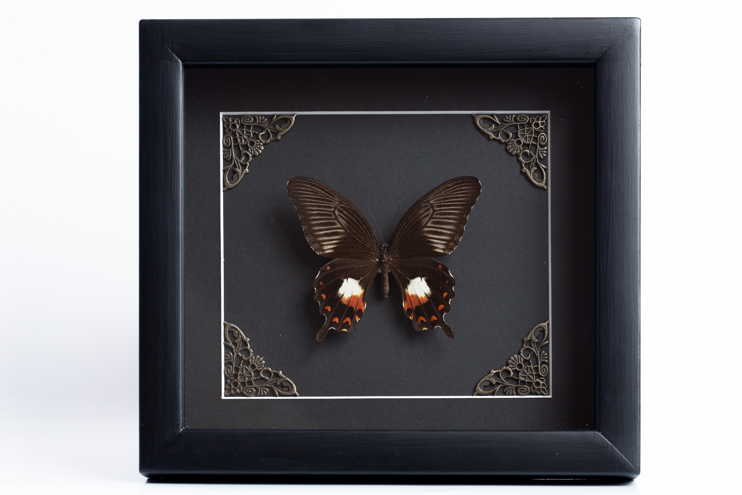 Интерьерные украшения-Насекомые