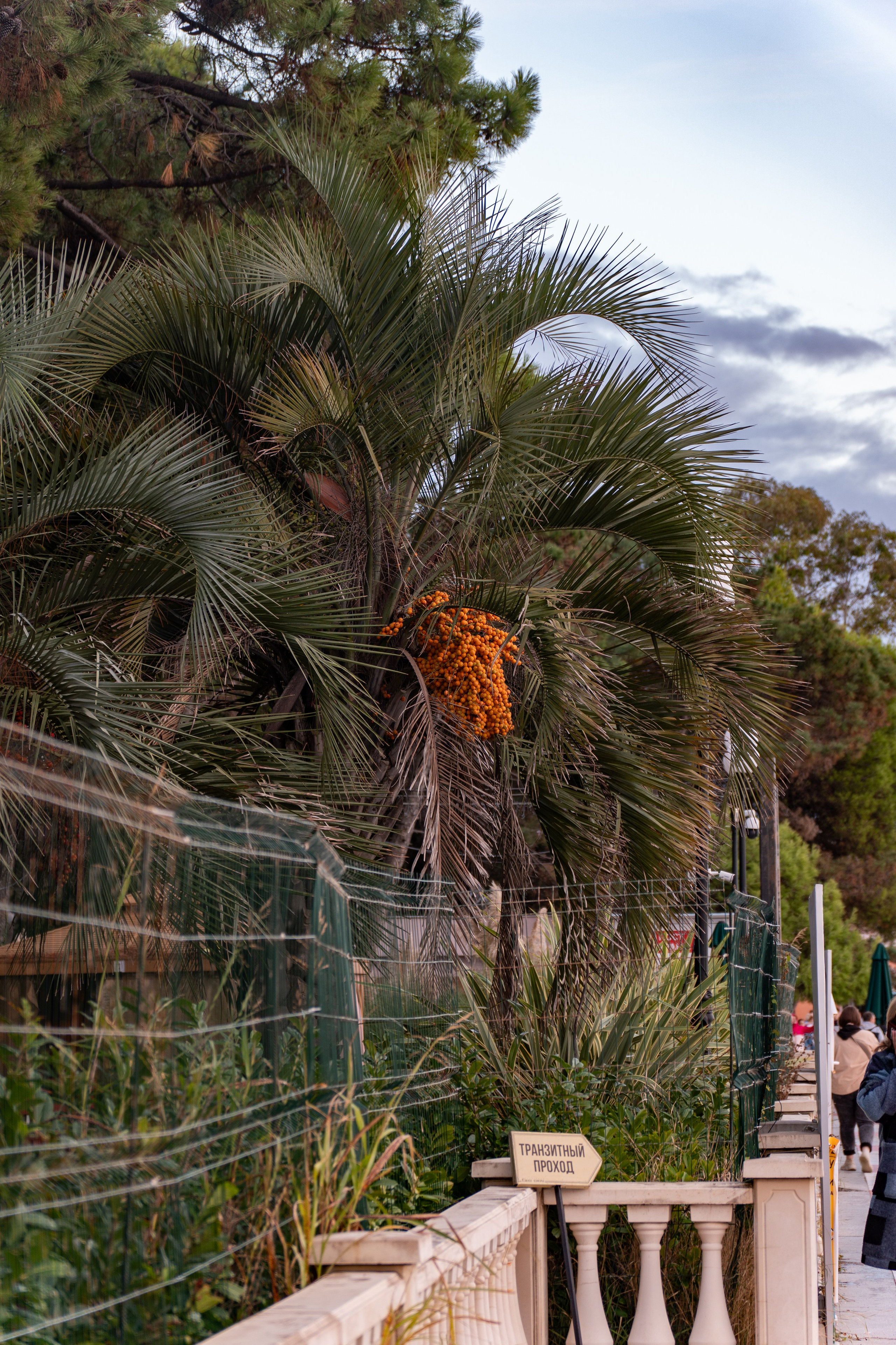 Краснодарский край. Gusarov Travel Photography