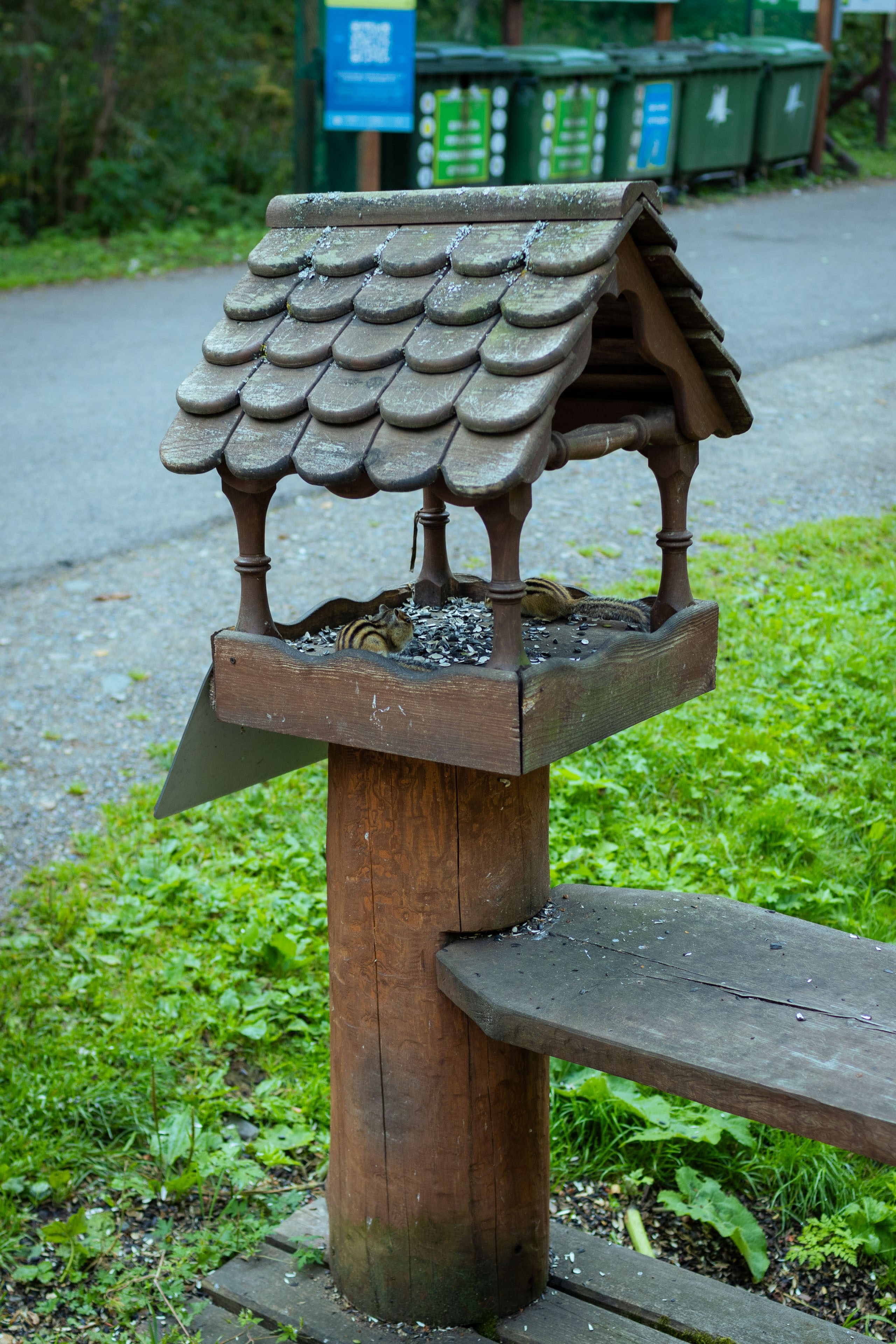 Красноярск (осень 2023). Фотограф Виноградов Константин