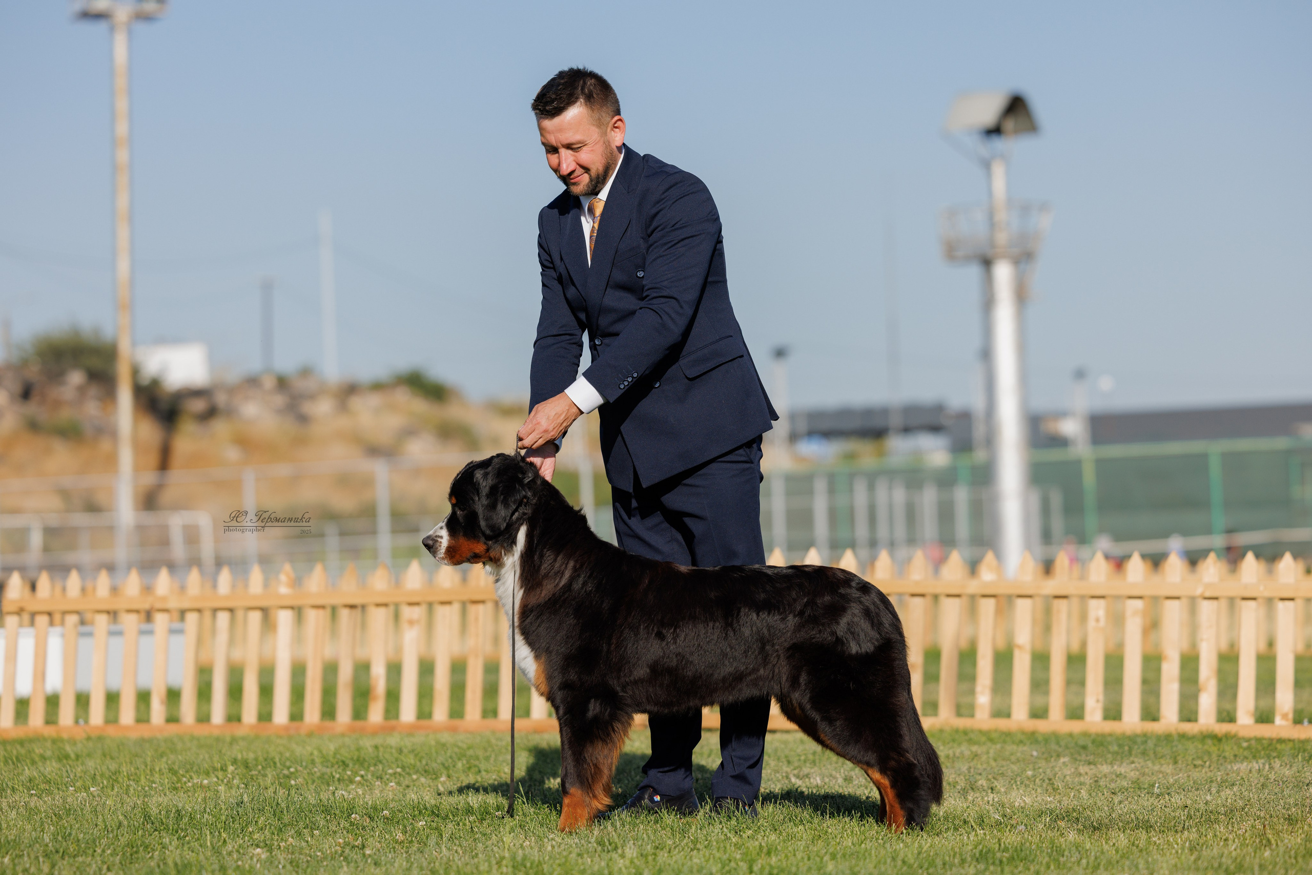 Ереван 3хCACIB 23-25.06.2025. Фотограф-анималист Юлия Германика