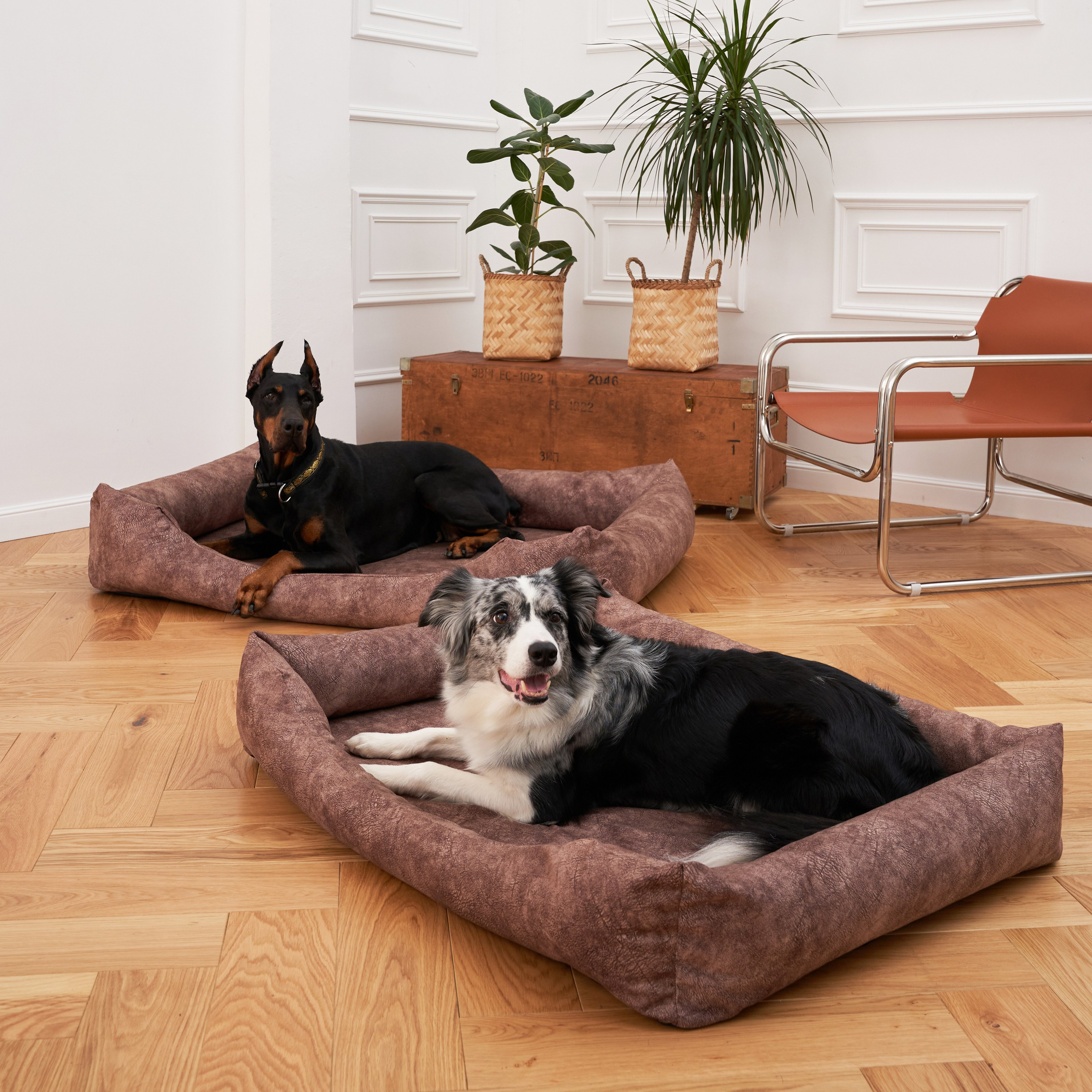 Предметная съемка с моделями животными для маркетплейсов.