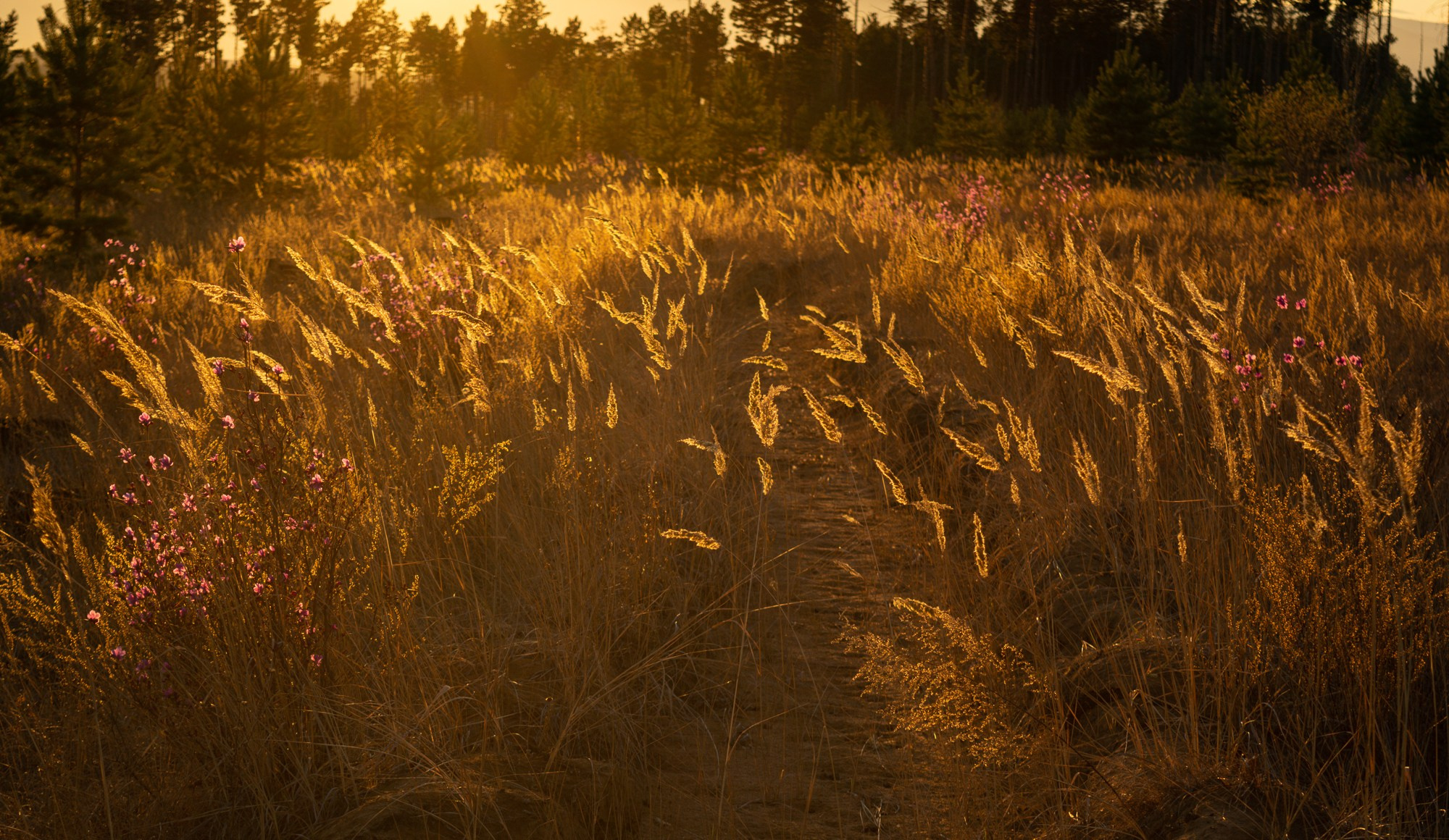 Разное. Репортажный фотограф г. Чита