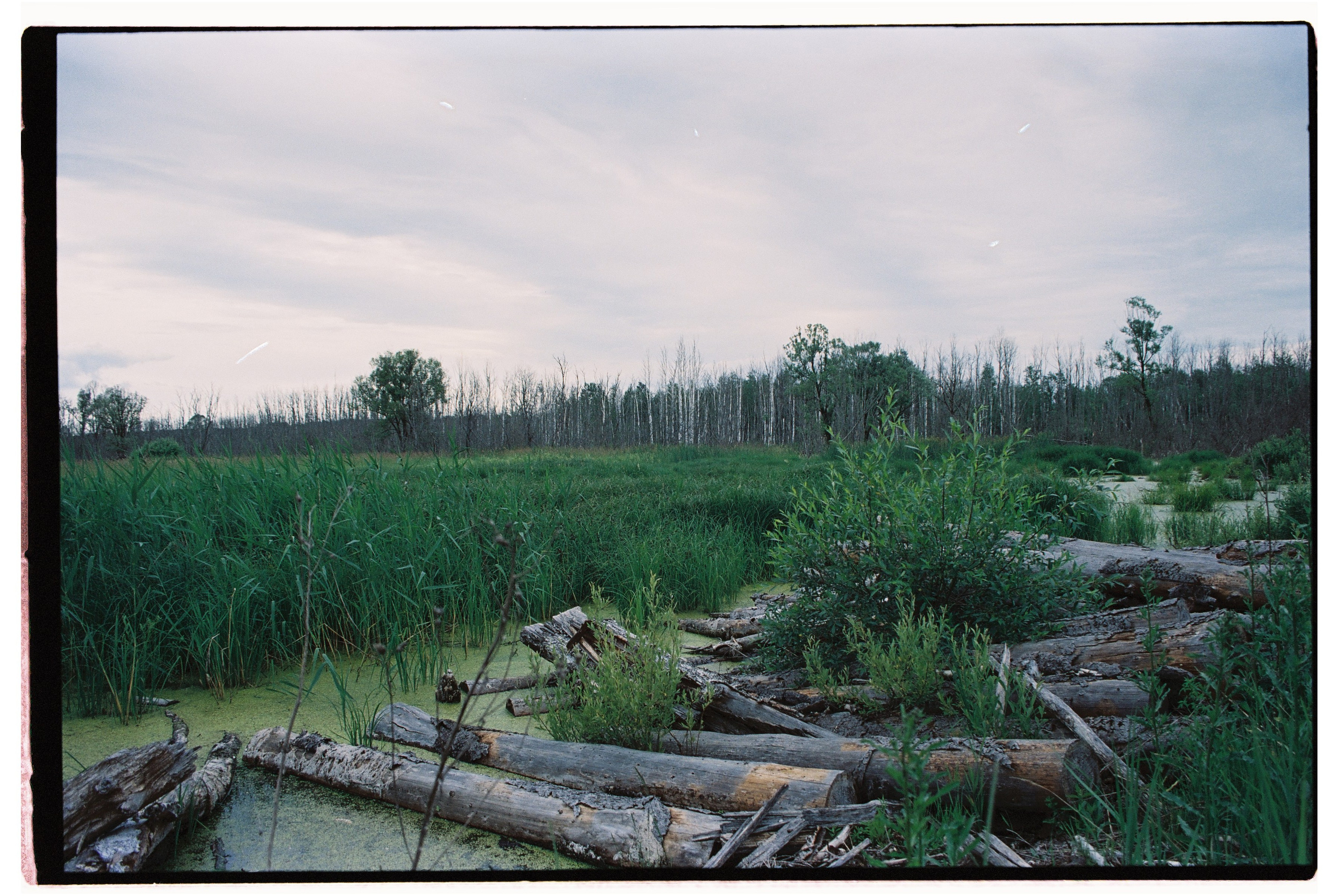 Стрит. Фотограф Соня с Земли