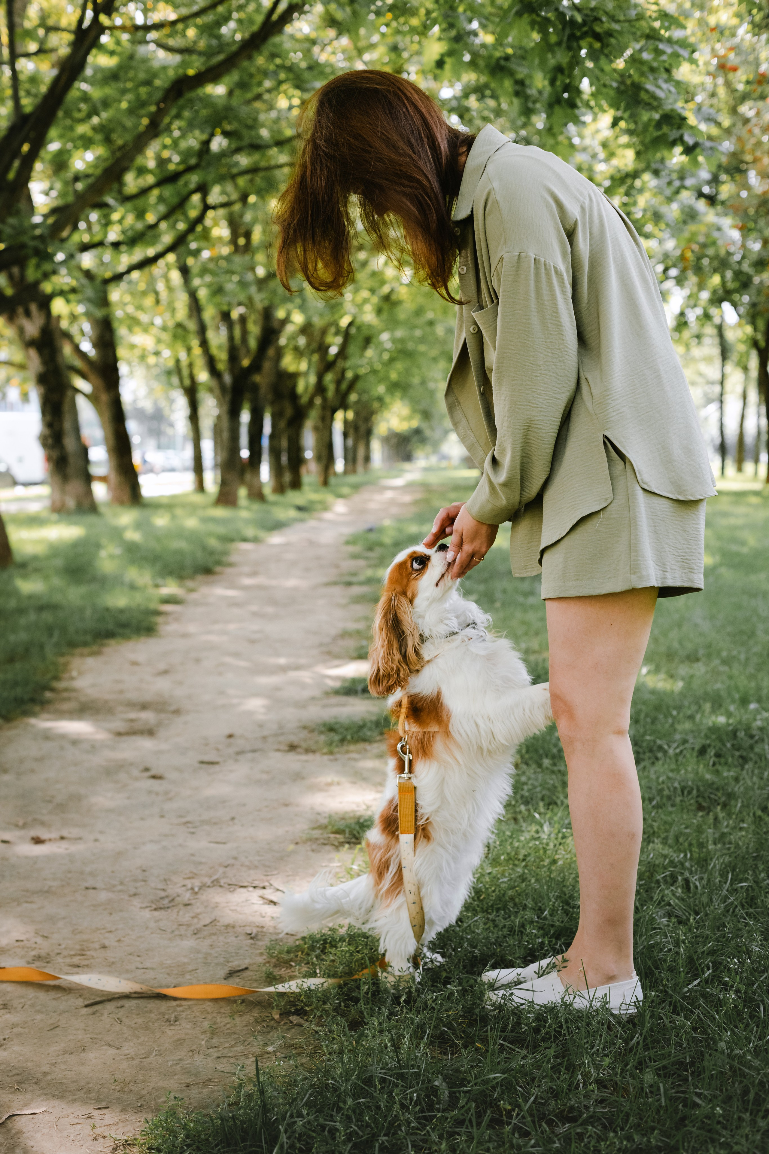 Фотопрогулка на бульваре. Фотограф-анималист Татьяна Степанова