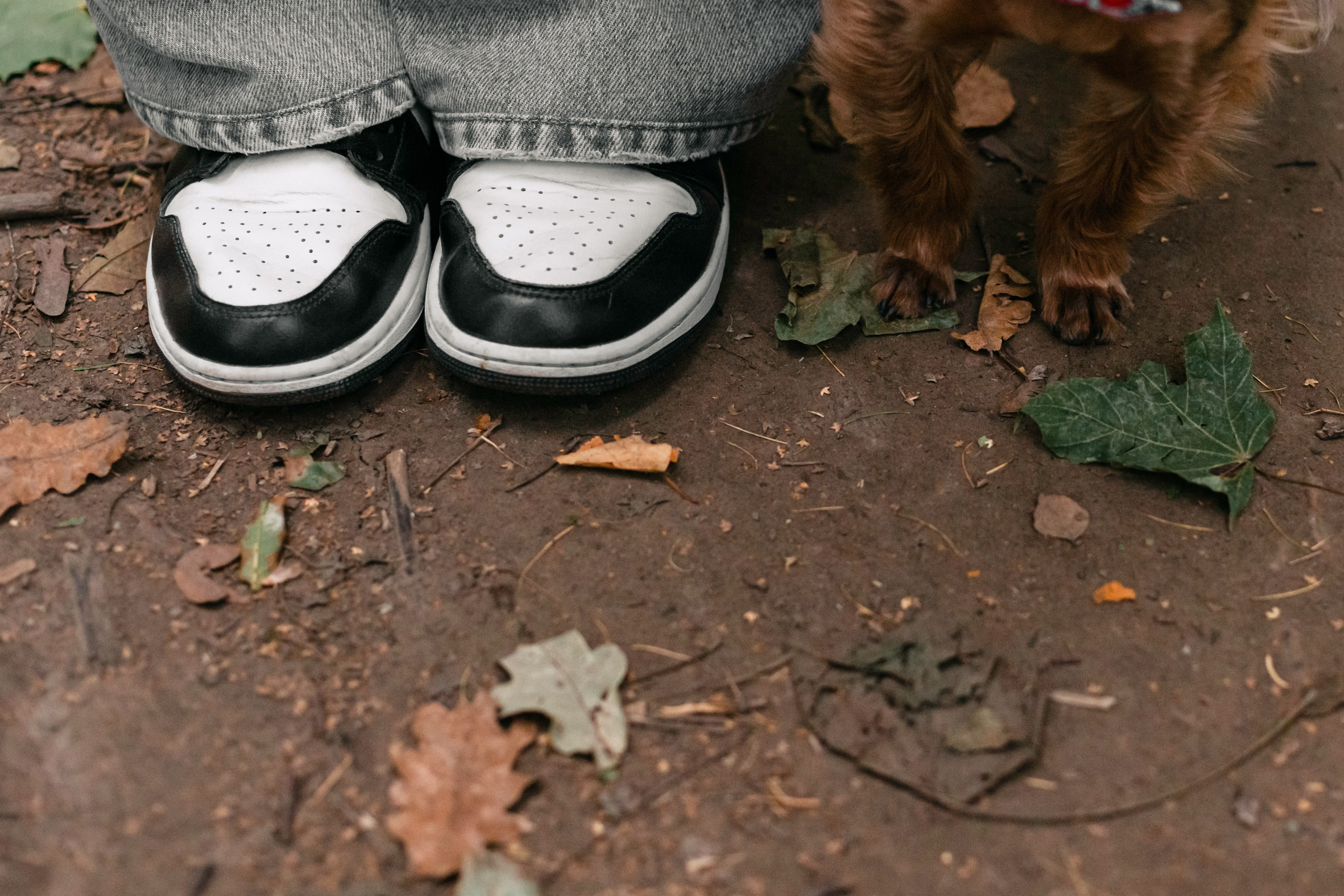 Катя и Моня. Фотограф-анималист Татьяна Степанова