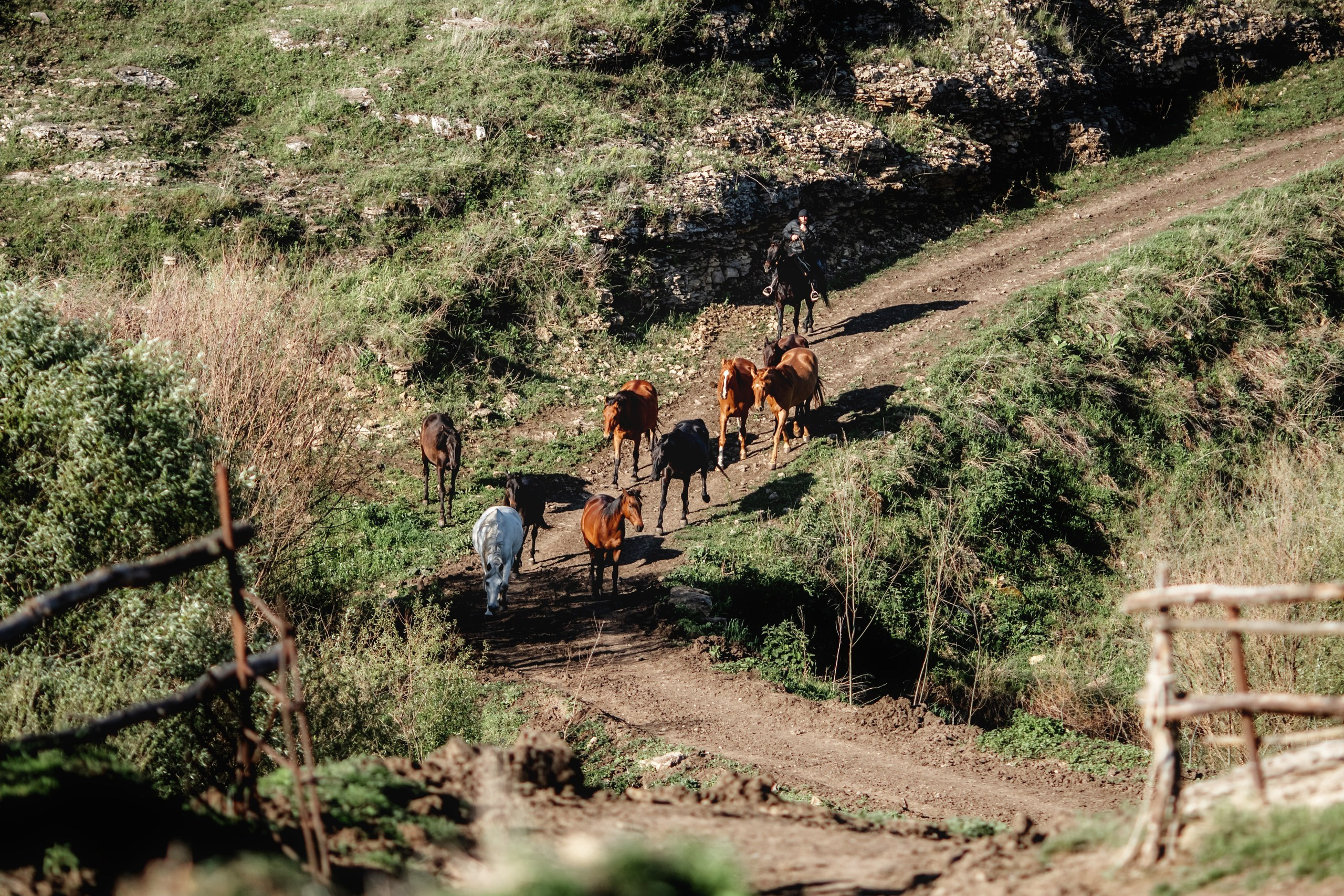 КЧР май'24. BrisArts