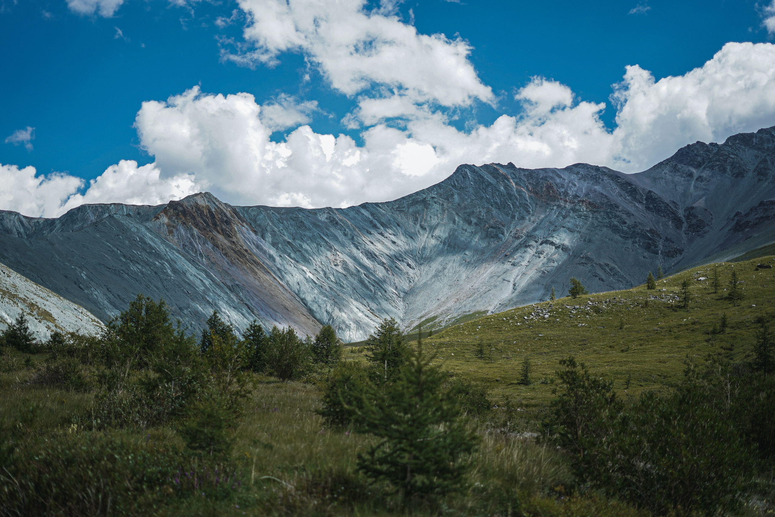 Алтай, поход к Белухе 2023. Фотограф Ольга Пучкова