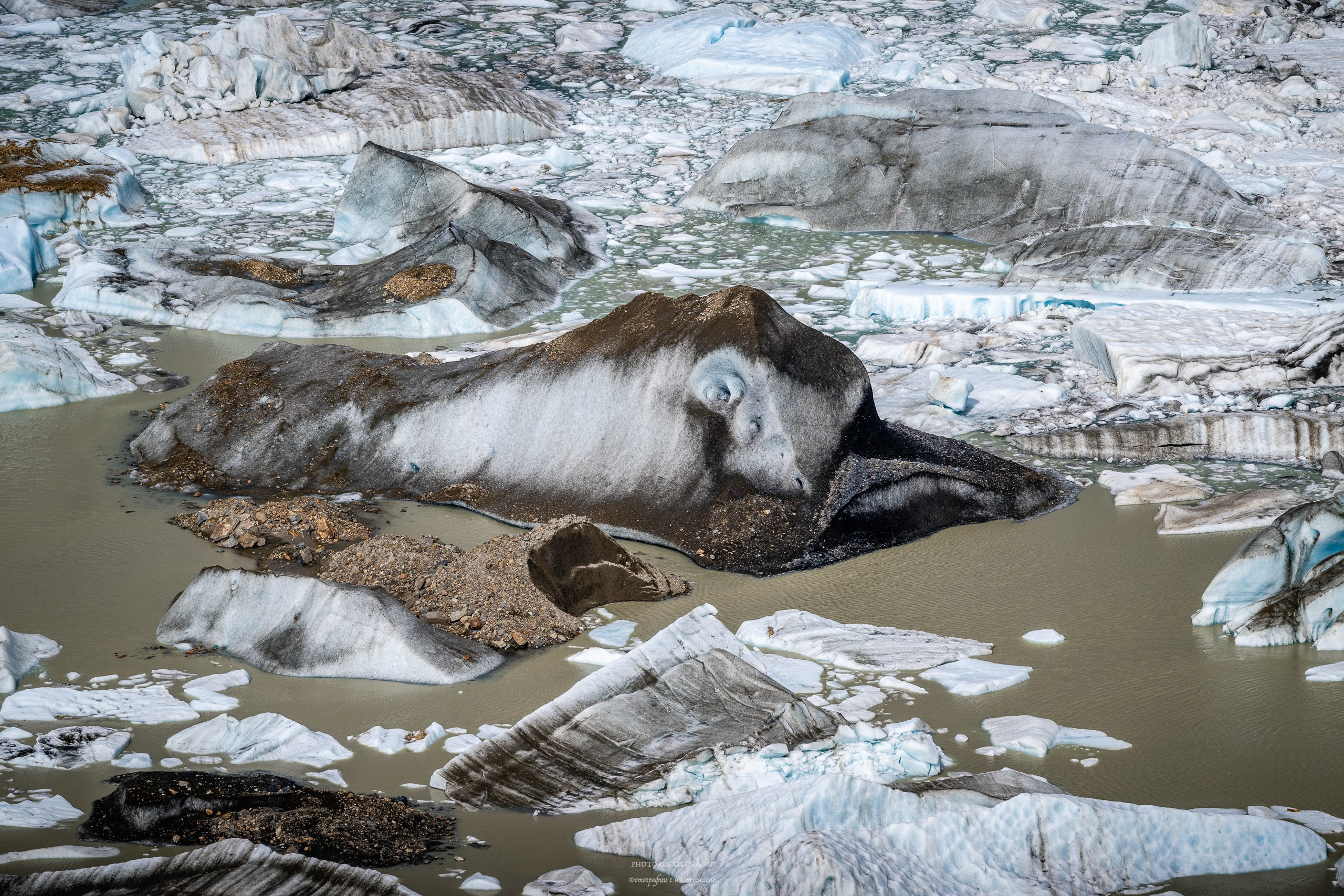 Осязаемая красота. Авторские стильные фотокартины