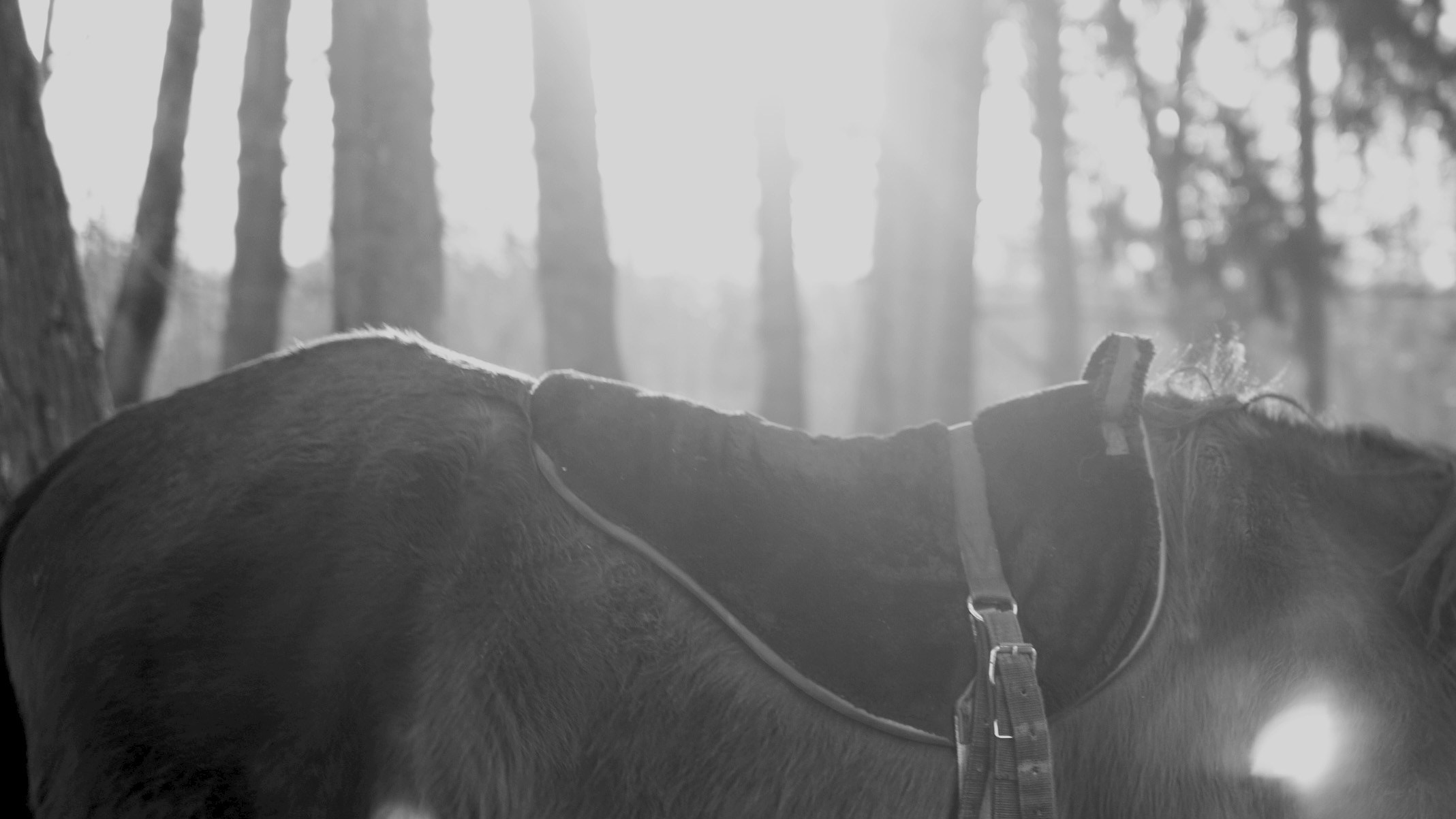 Ничего не было видно и приходилось прислушиваться. Художественная группа «Нежные Бабы»