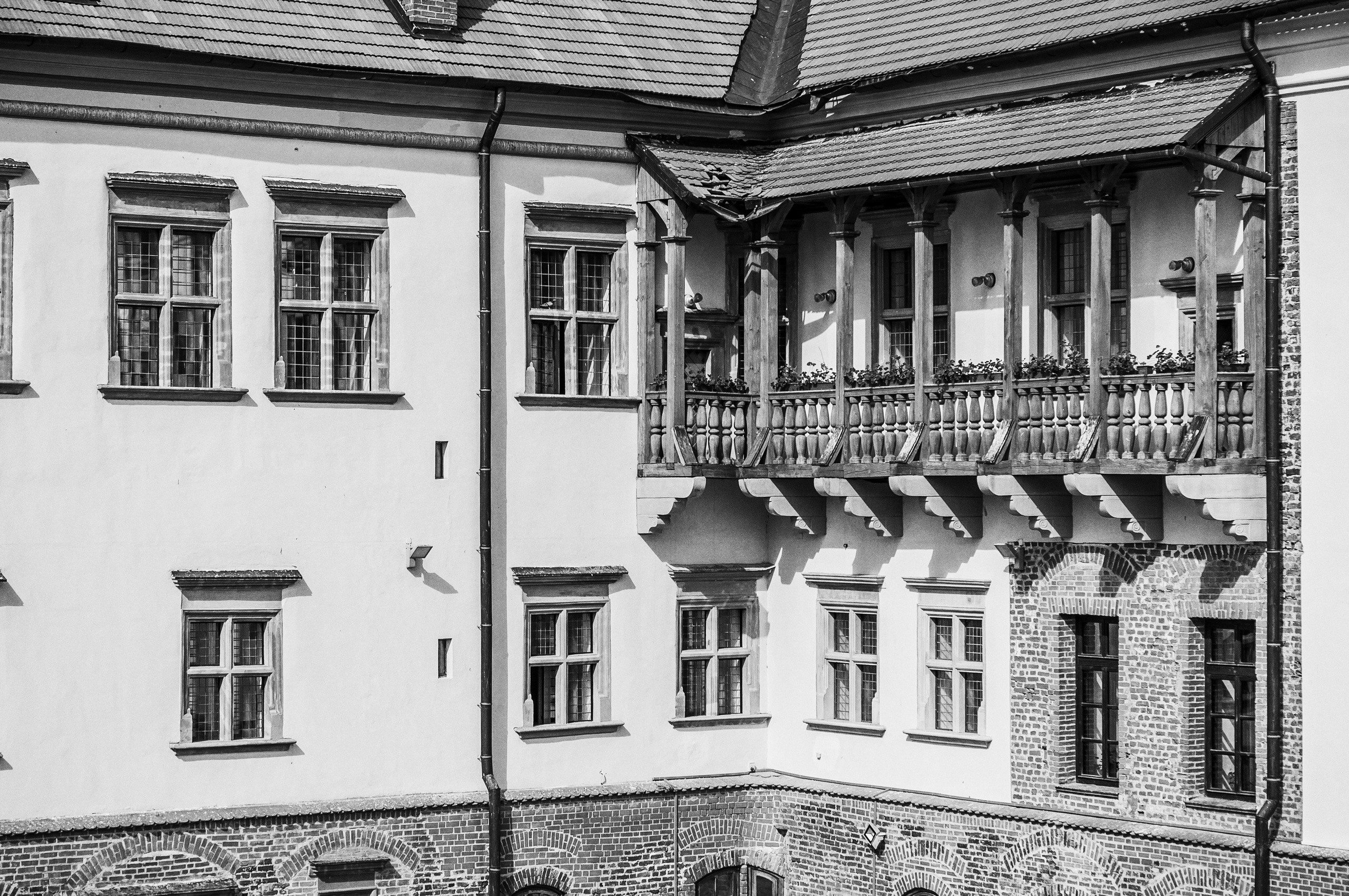 Мирский замок 2013. Фотограф Антон Швец — Монохромная реальность