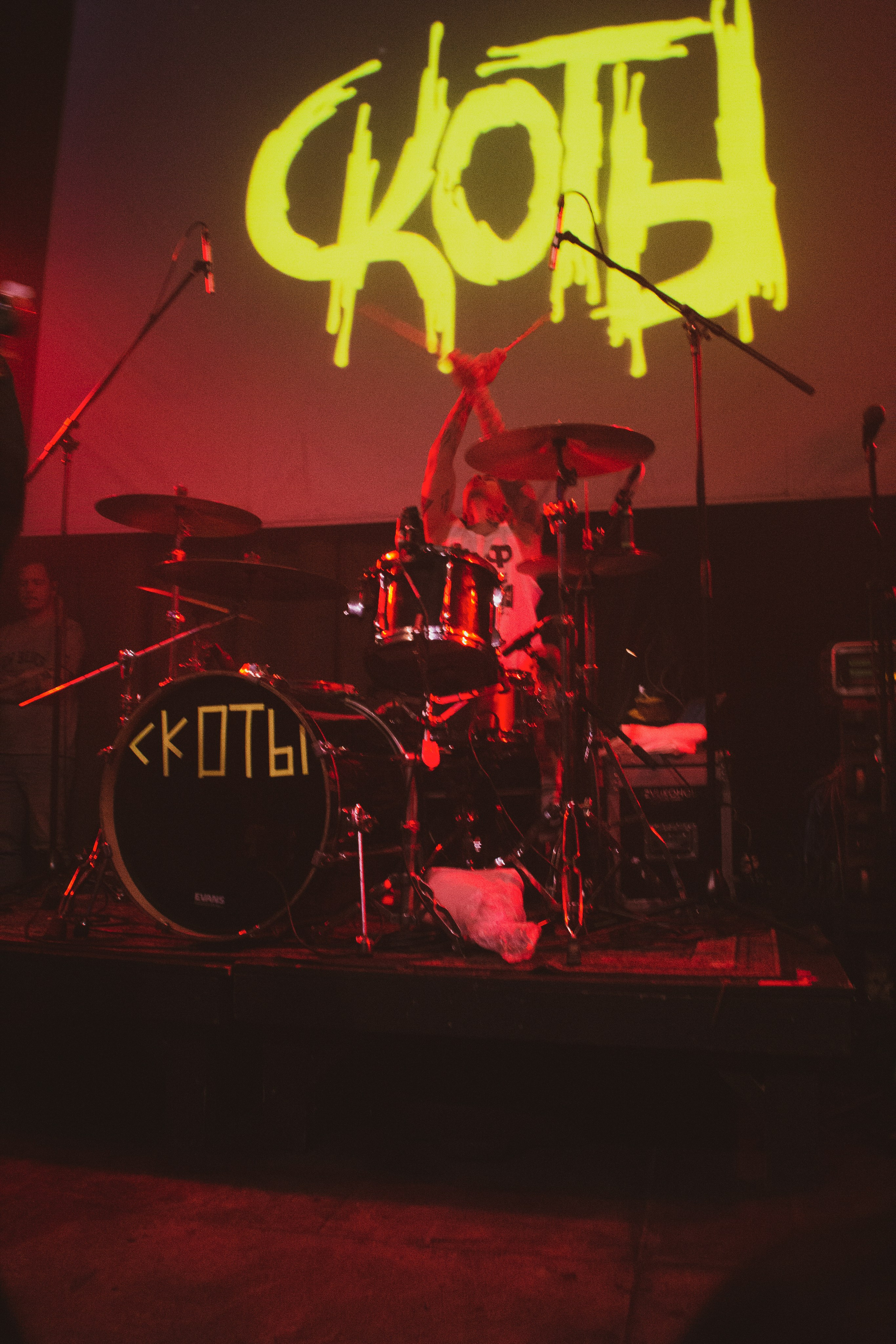 СКОТЫ | 11.12.2024 | ЛАСТОЧКА. VLADIS PISKUNOV | Концертные Фото |Репортажи