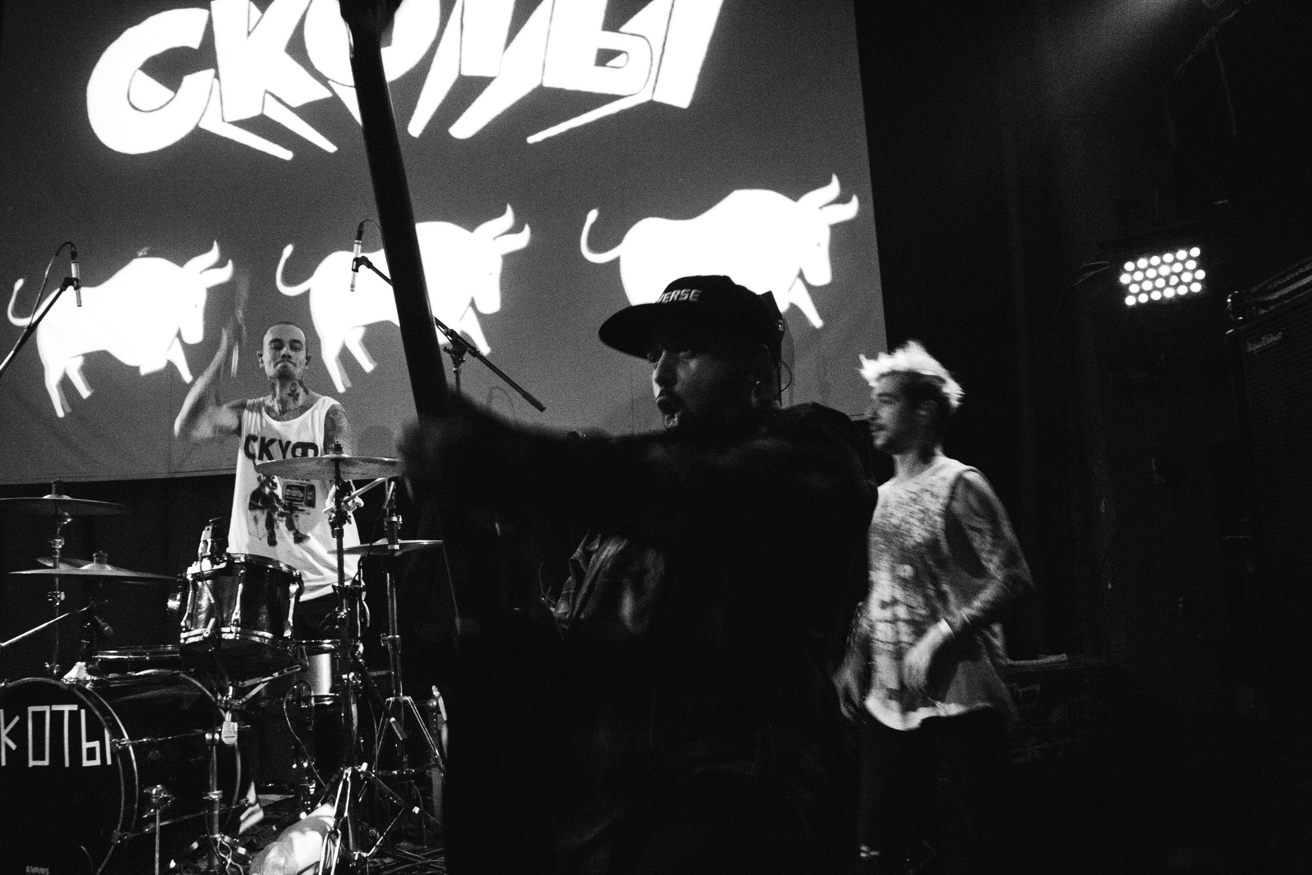 СКОТЫ | 11.12.2024 | ЛАСТОЧКА. VLADIS PISKUNOV | Концертные Фото |Репортажи