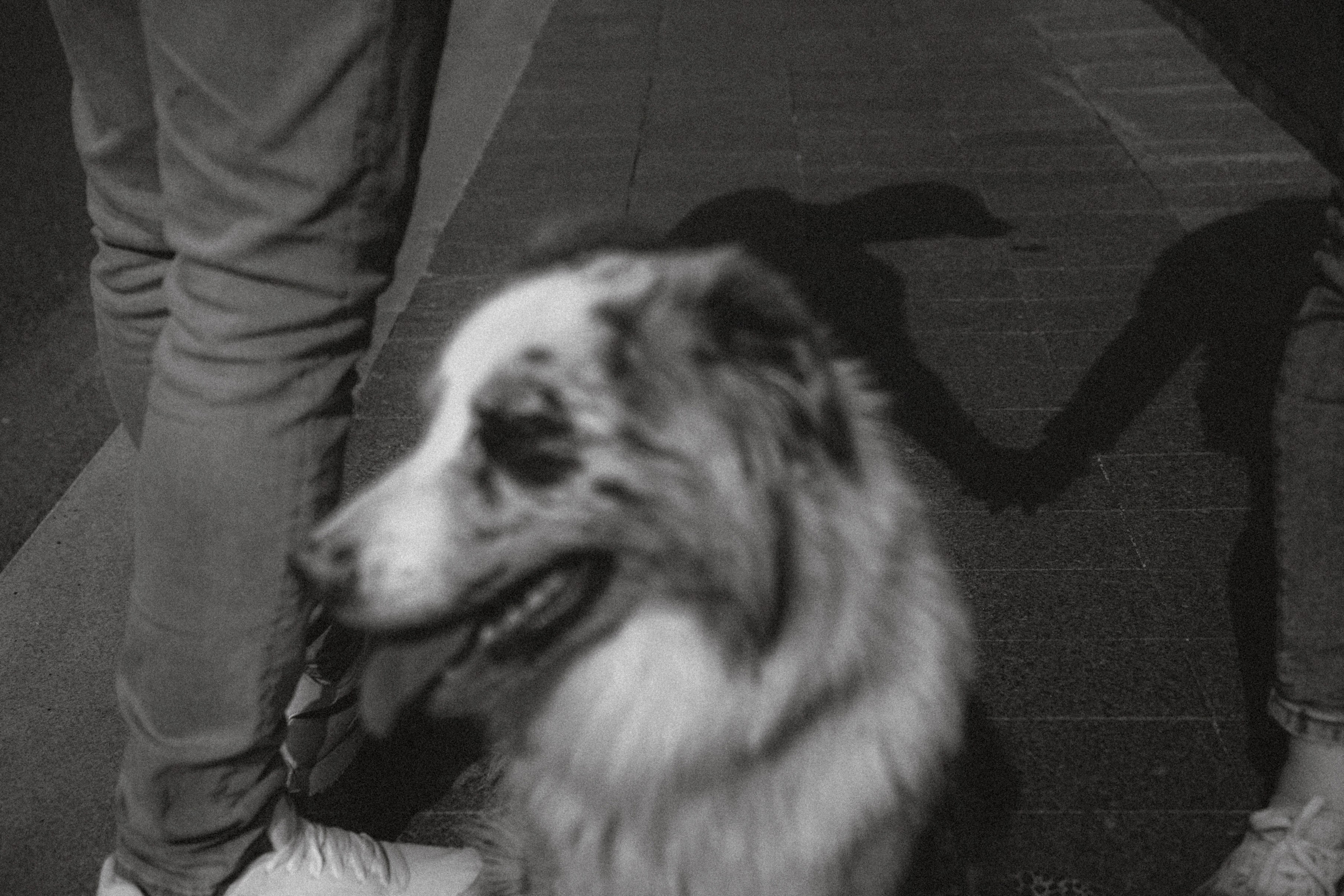 Один и его семья