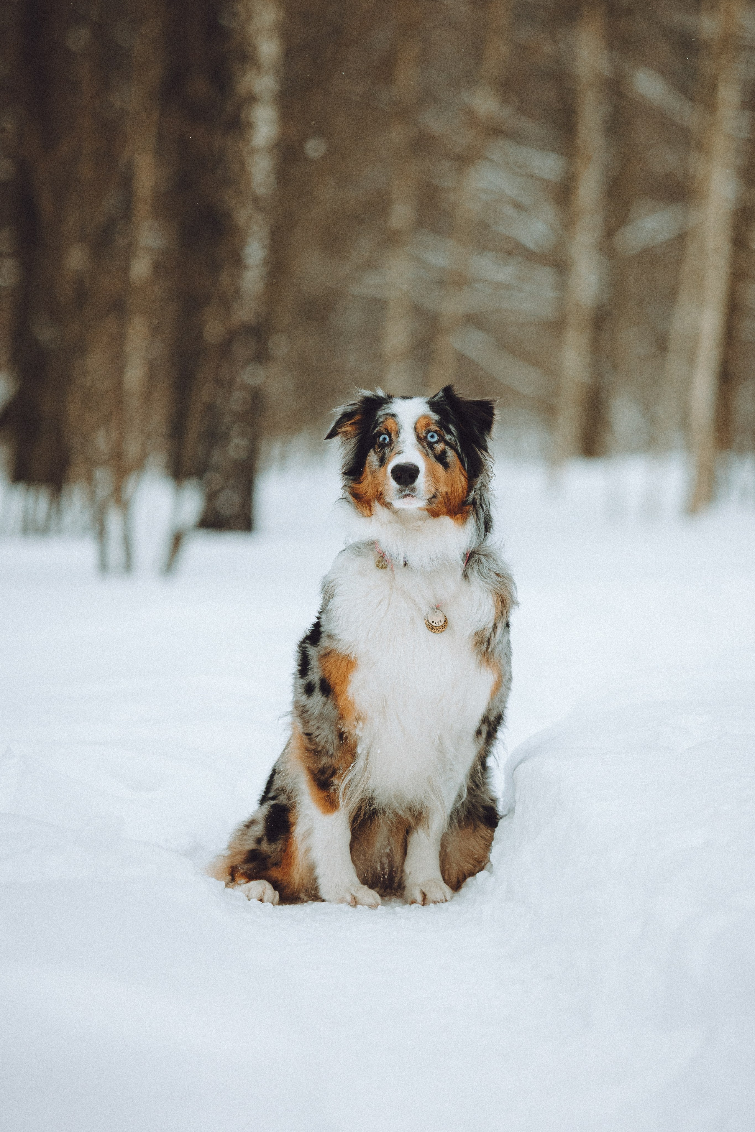 Фаня и ее семья