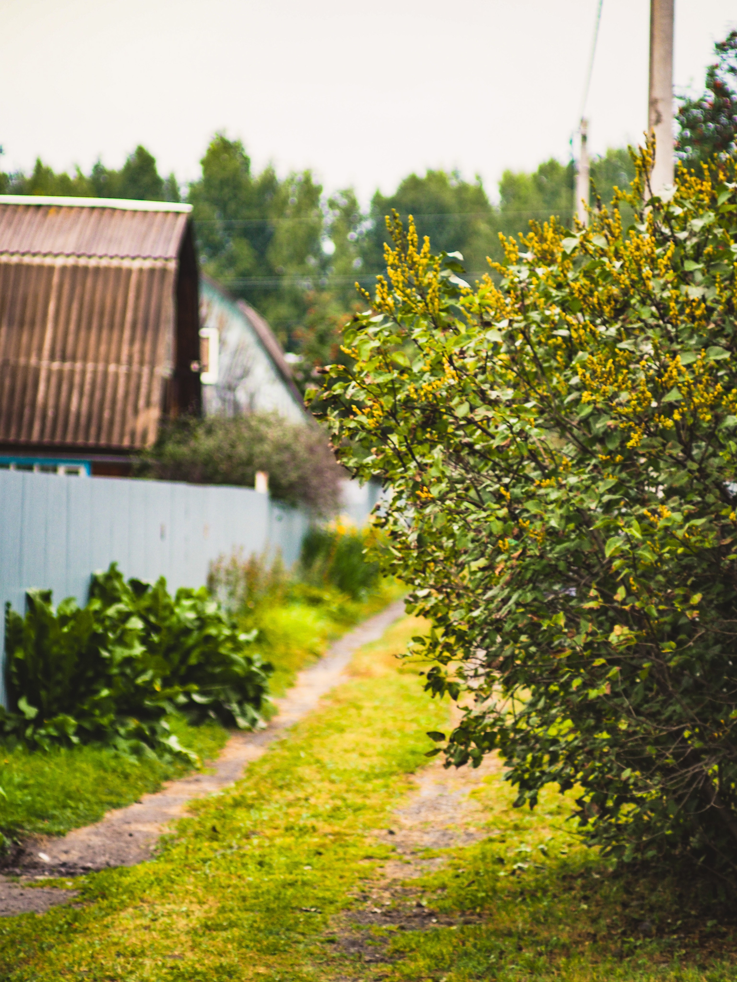 Природа/Животные