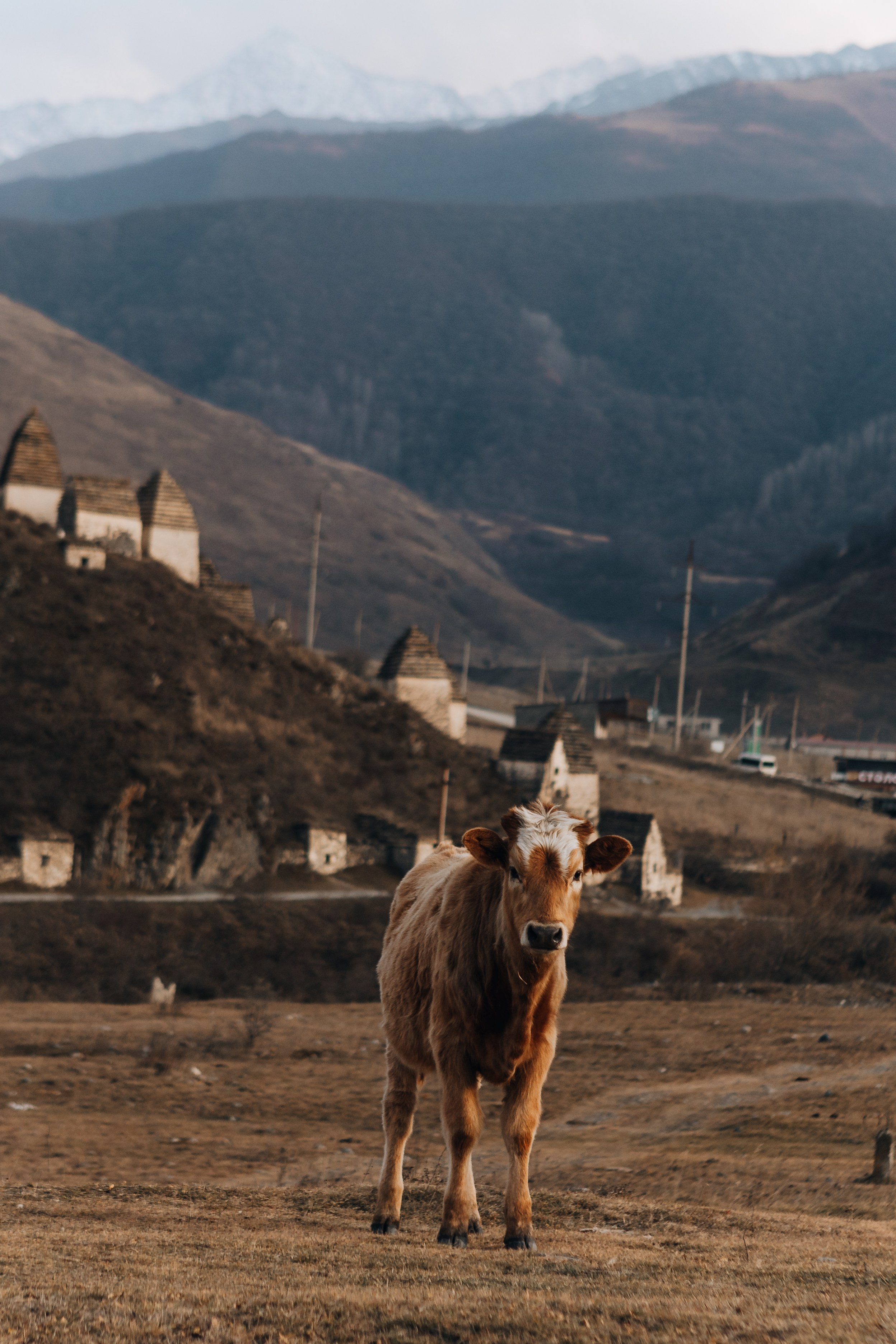 WhatsApp Travel КАВКАЗ. Портреты и лайфстайл в Краснодаре