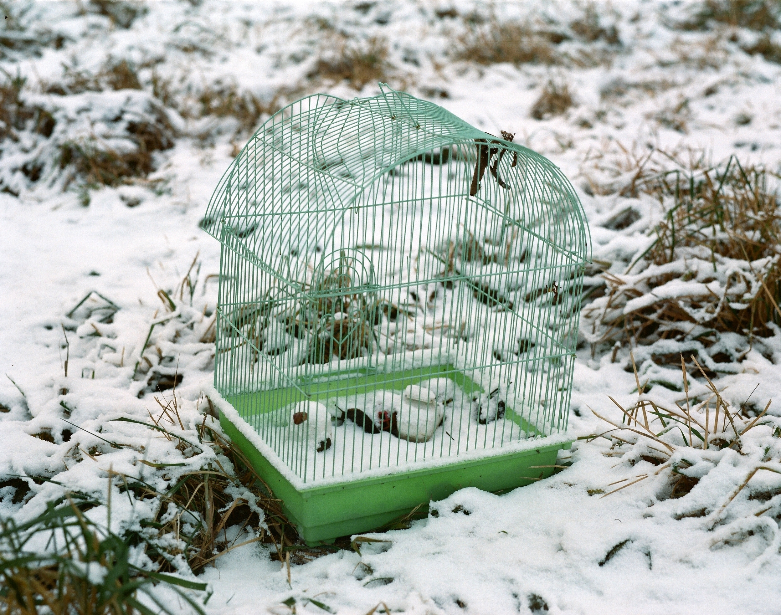 Дневник каньона. Екатерина Васильева художник, куратор и преподаватель